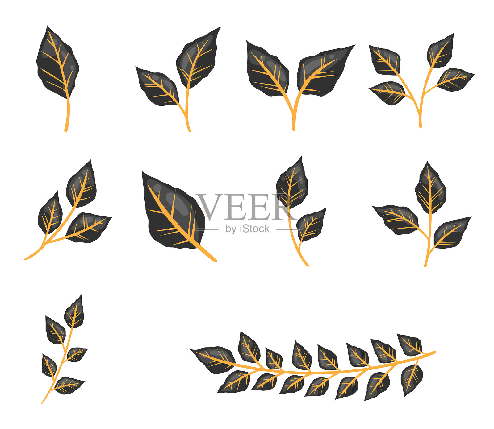 一束黑色叶子与橙色枝条，装饰在幻想自然和万圣节庆典中。插画图片素材