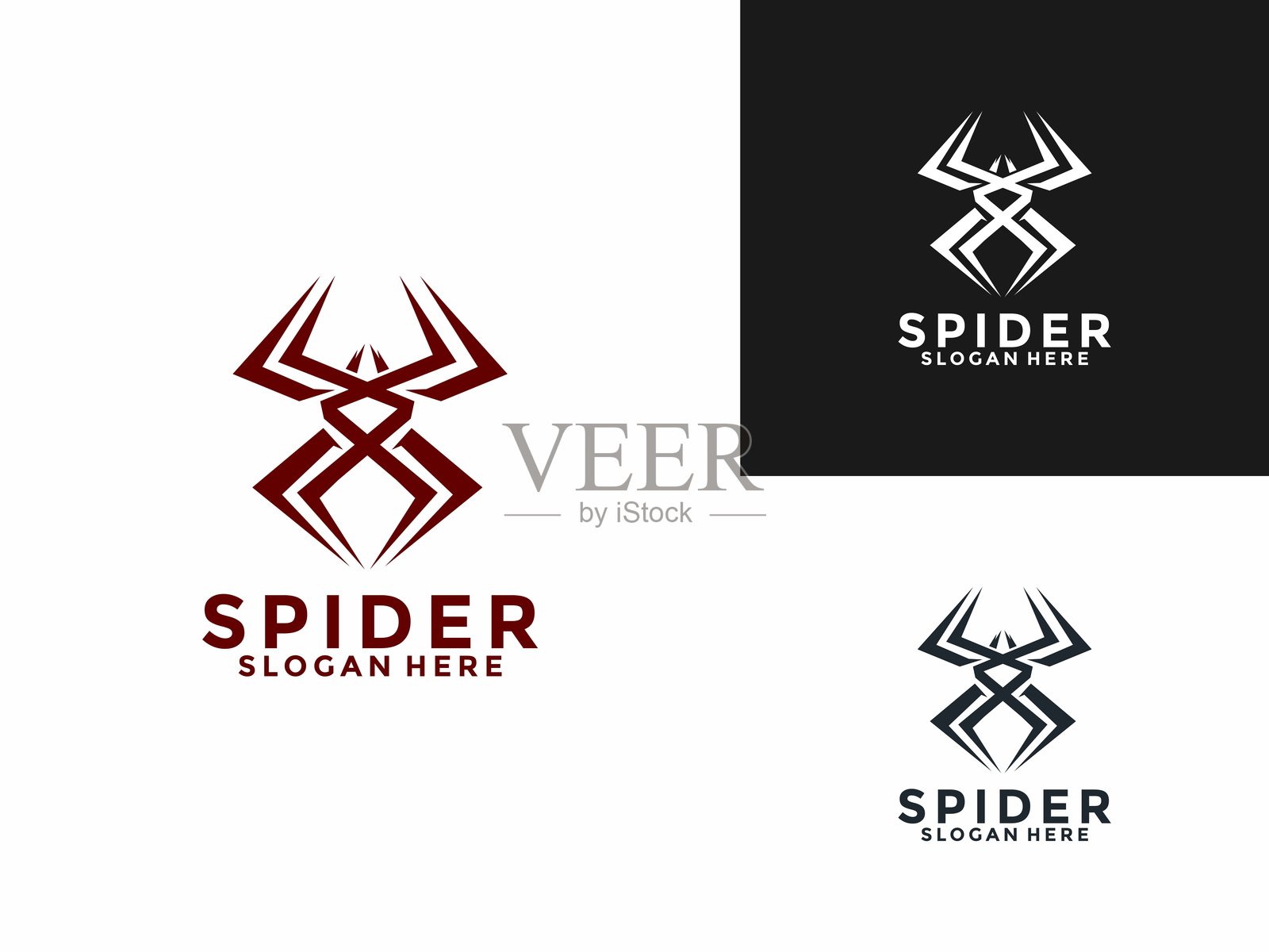 现代蜘蛛昆虫标志图标模板，蜘蛛标志设计矢量图插画图片素材