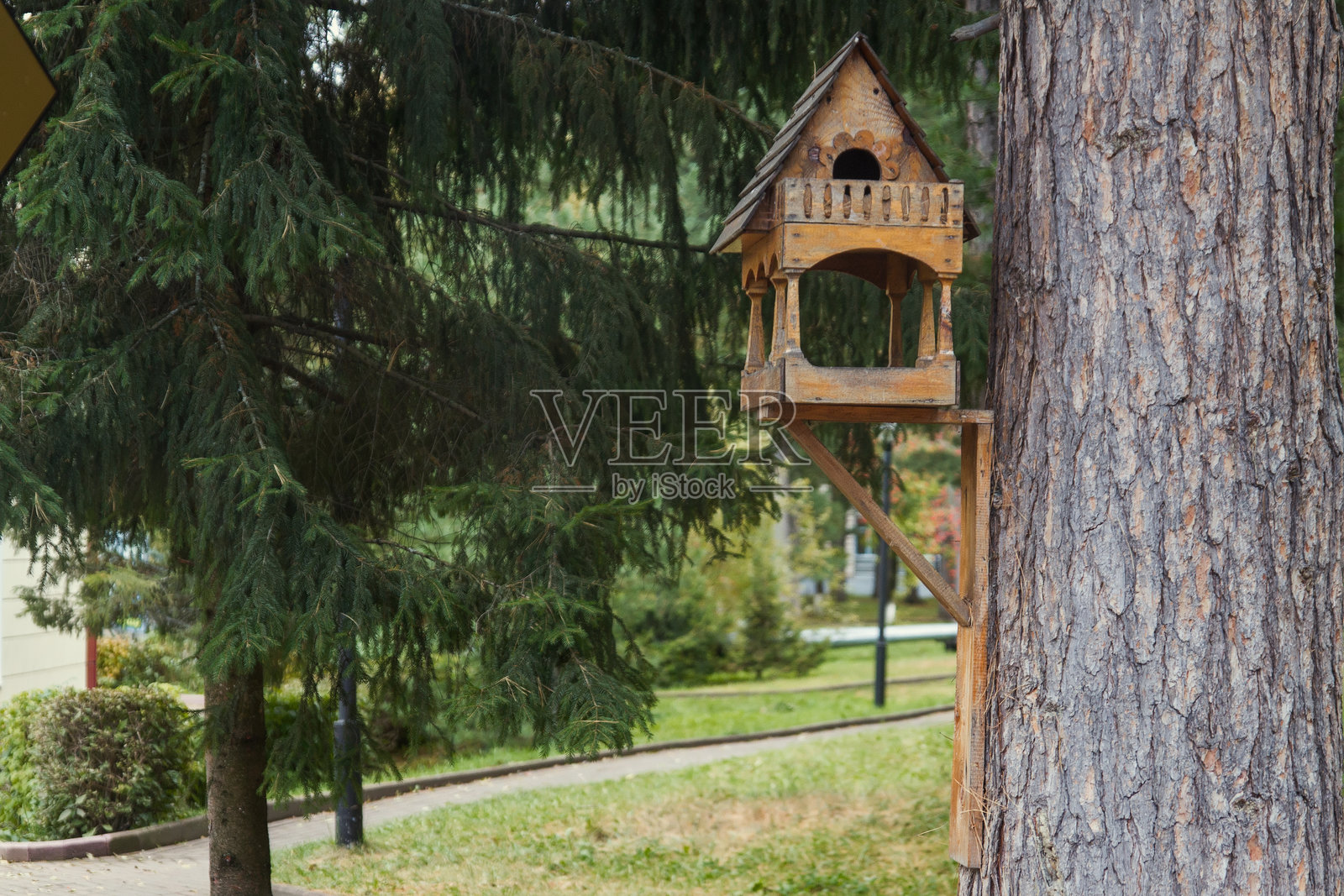 秋天的氛围照片摄影图片