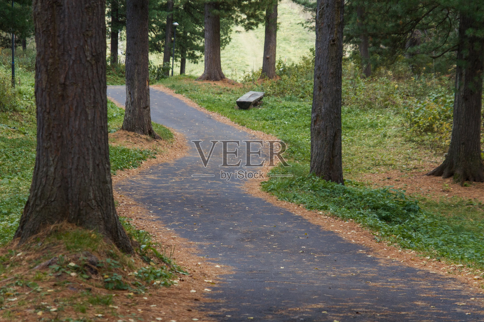 秋天的氛围照片摄影图片