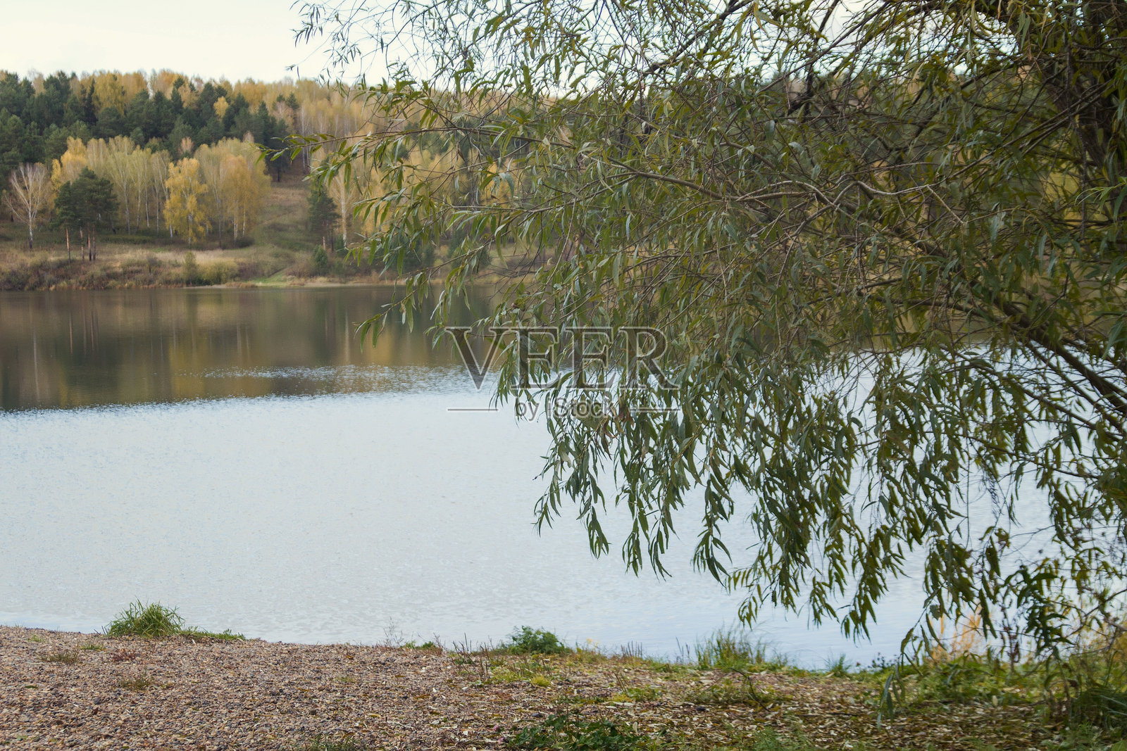 秋天的氛围照片摄影图片