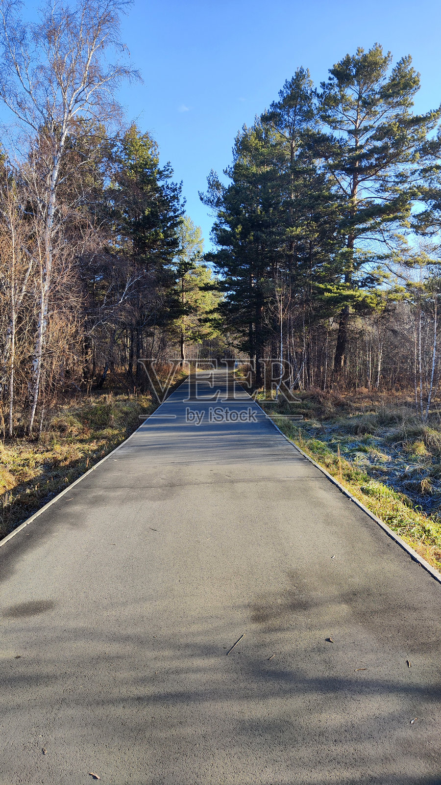 公共公园中的沥青小道照片摄影图片