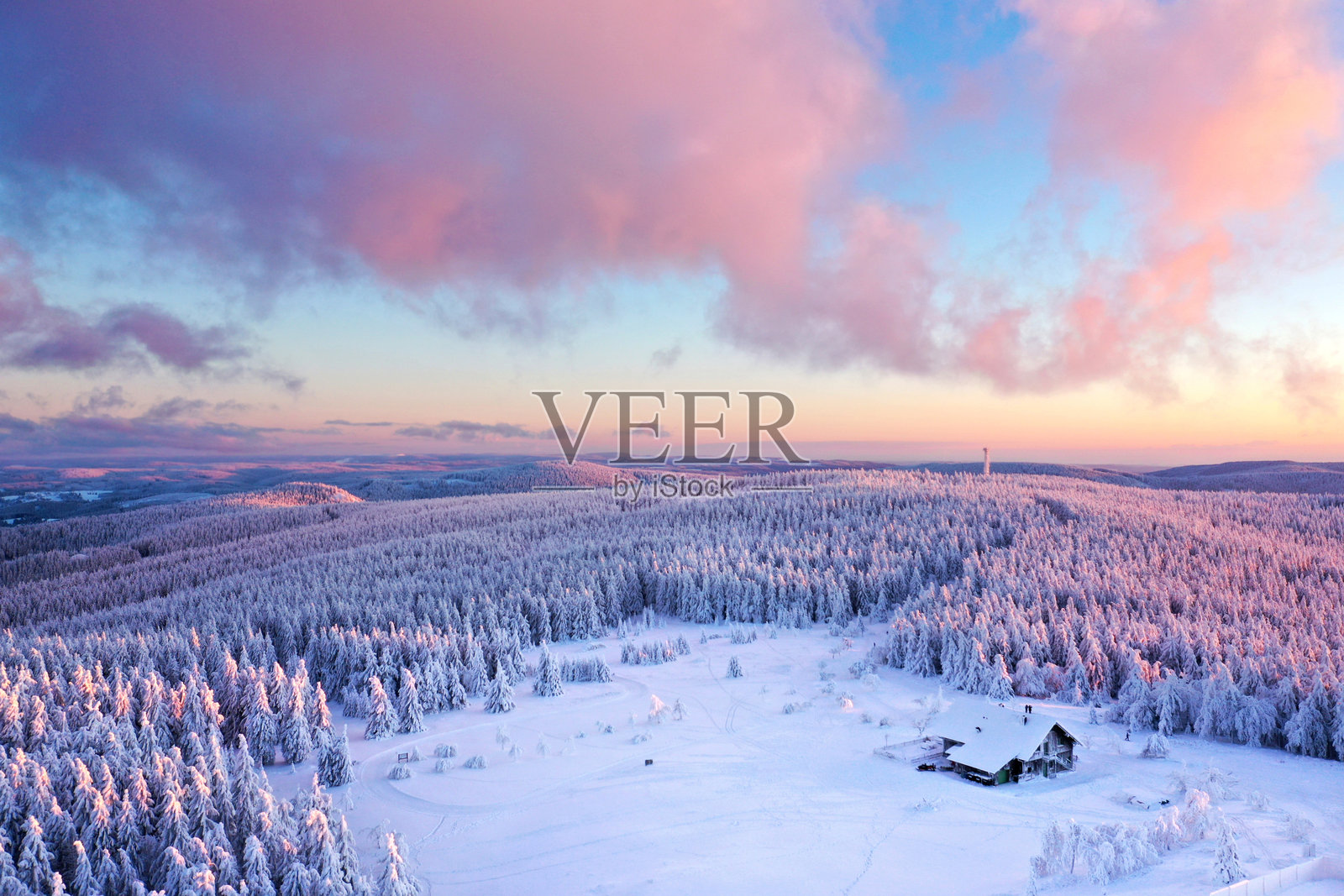 冬季风景，松树被雪覆盖照片摄影图片