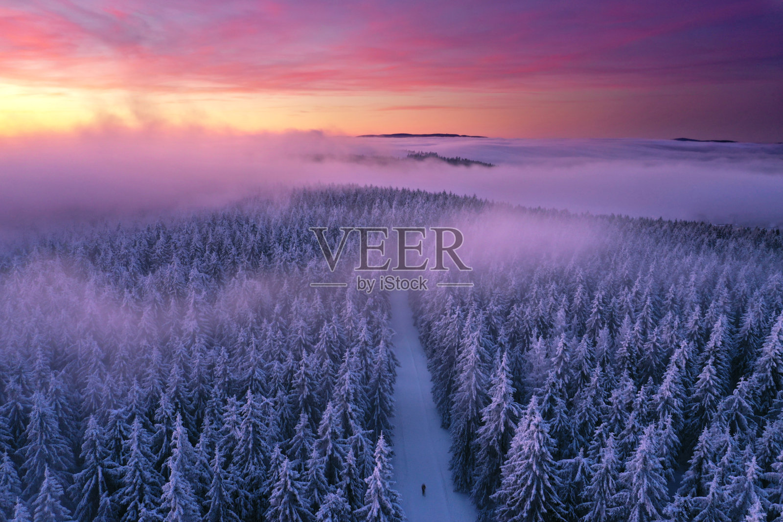 令人惊叹的宁静冬季自然景观照片摄影图片