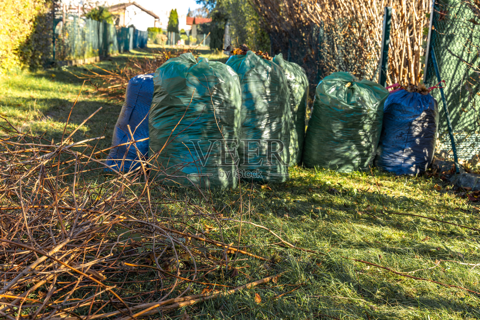 五彩斑斓的秋叶装在垃圾袋里照片摄影图片