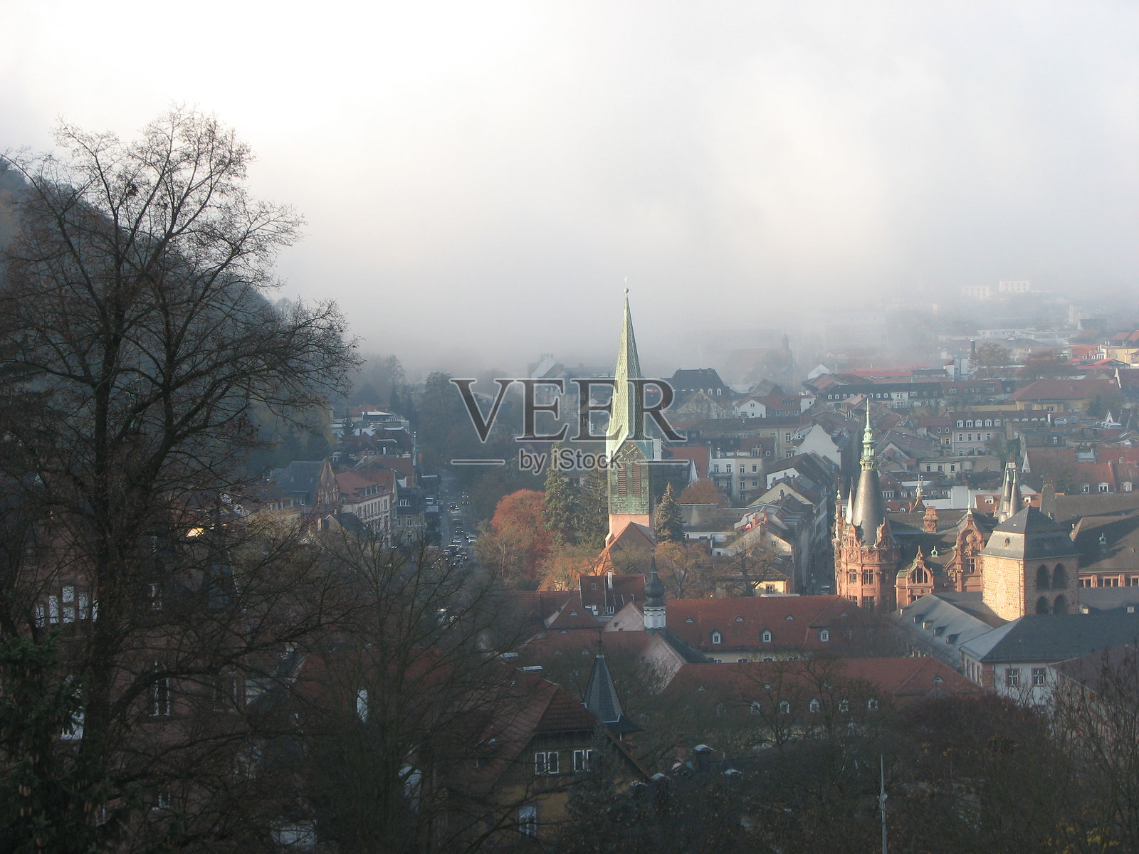德国海德堡的雾气弥漫照片摄影图片