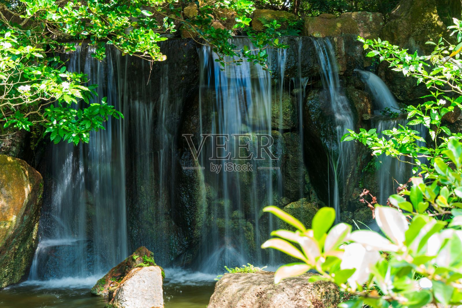 宁静的瀑布被郁郁葱葱的绿叶环绕照片摄影图片