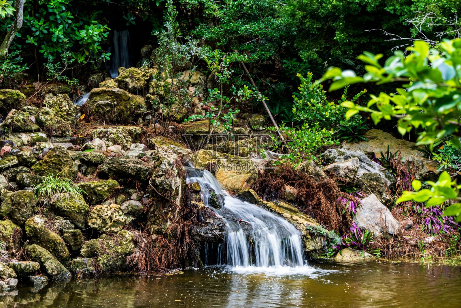 宁静的瀑布在郁郁葱葱的森林中照片摄影图片