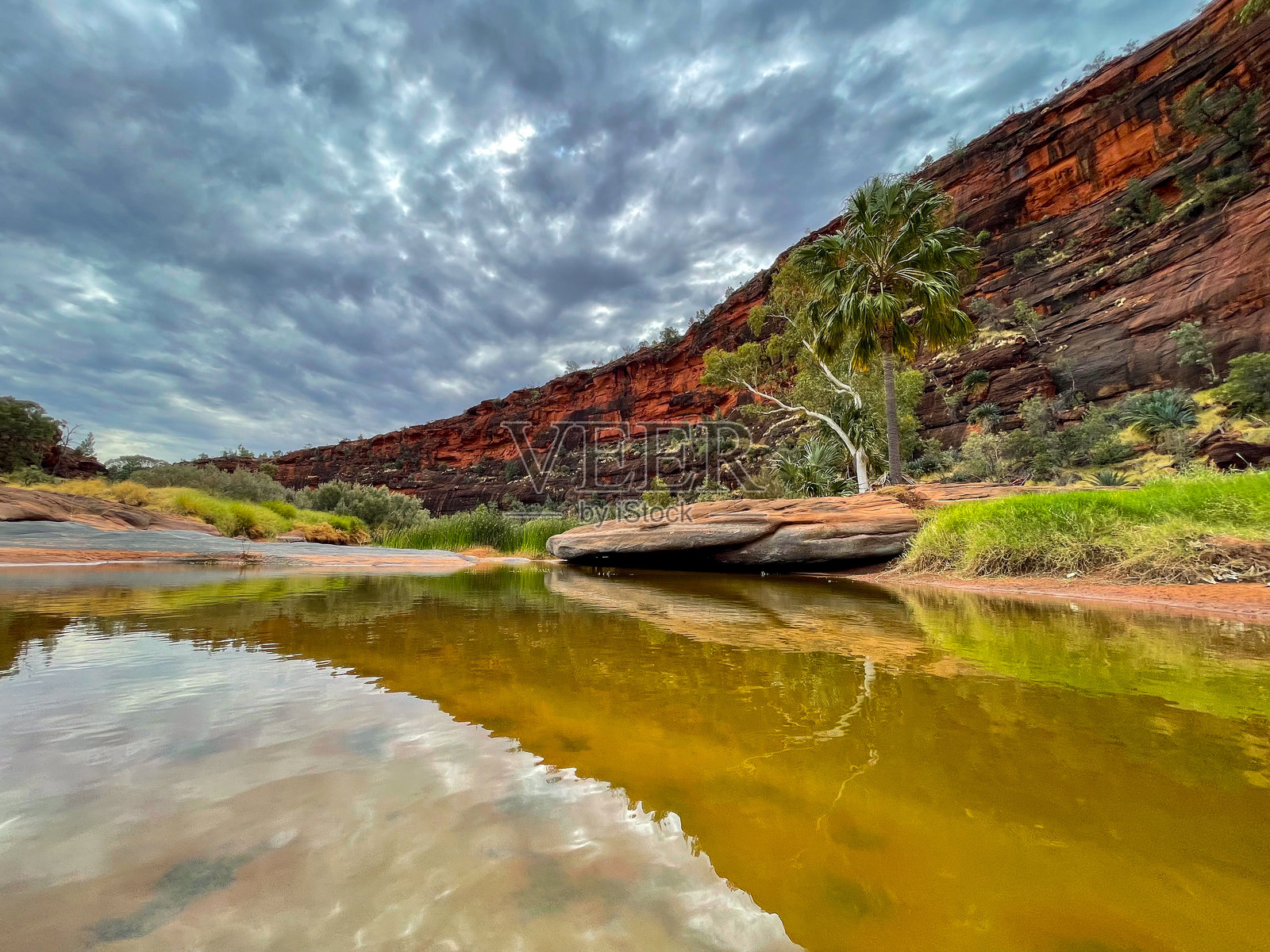 芬克峡谷国家公园的棕榈谷，北领地照片摄影图片