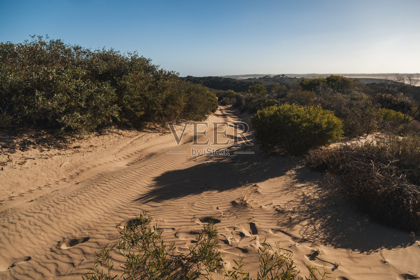 探索西澳大利亚沙克湾的陡峭点的自然美景和独特地形照片摄影图片