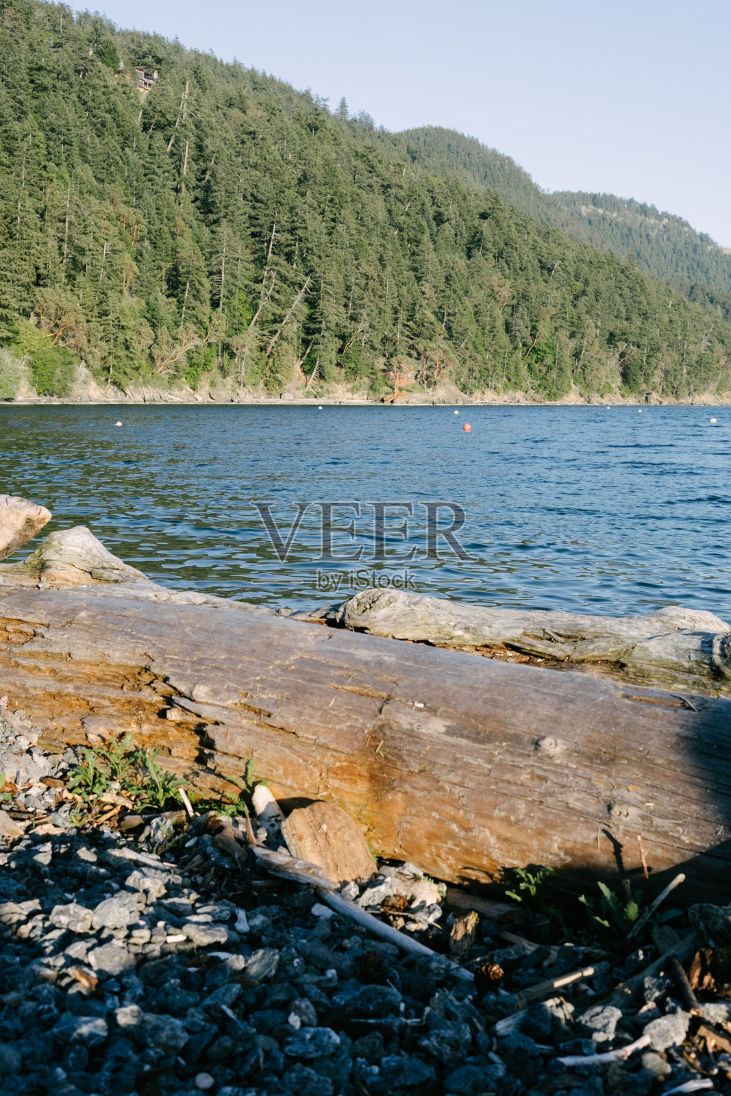 太平洋西北海滩风景，海洋。夏季。华盛顿州奥卡斯岛照片摄影图片