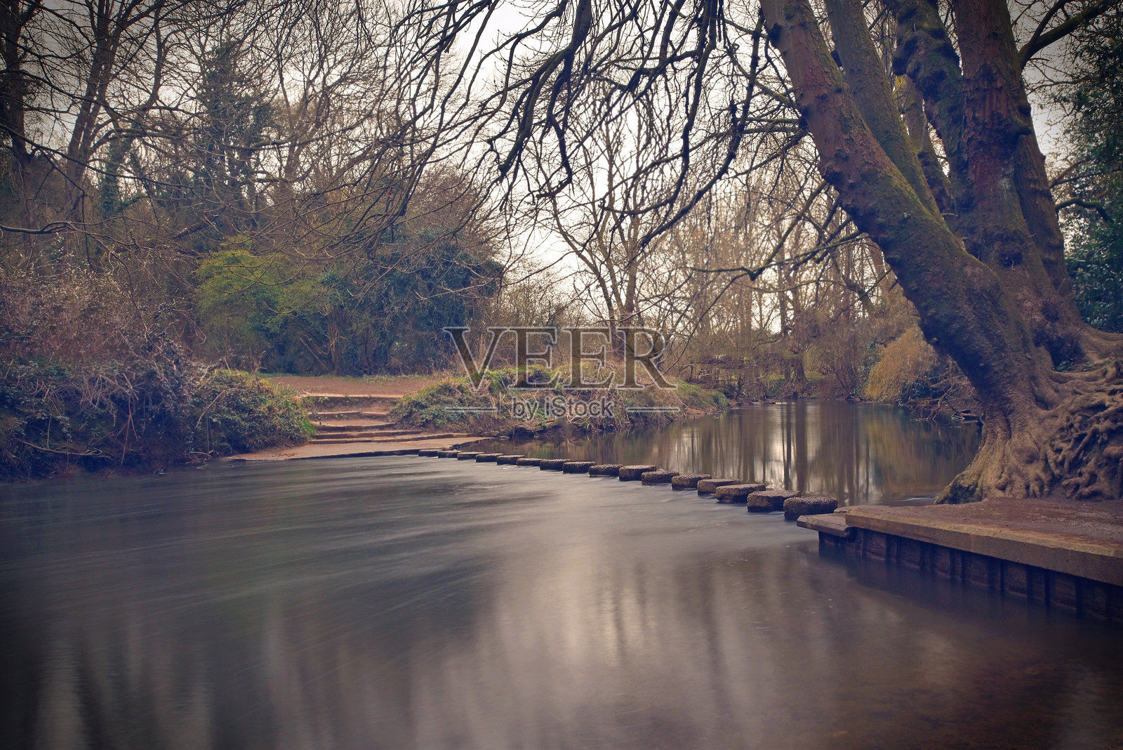 河流在树木间流淌照片摄影图片