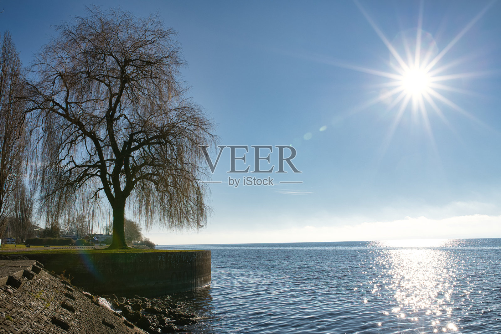 博登湖岸边的冬日阳光照片摄影图片