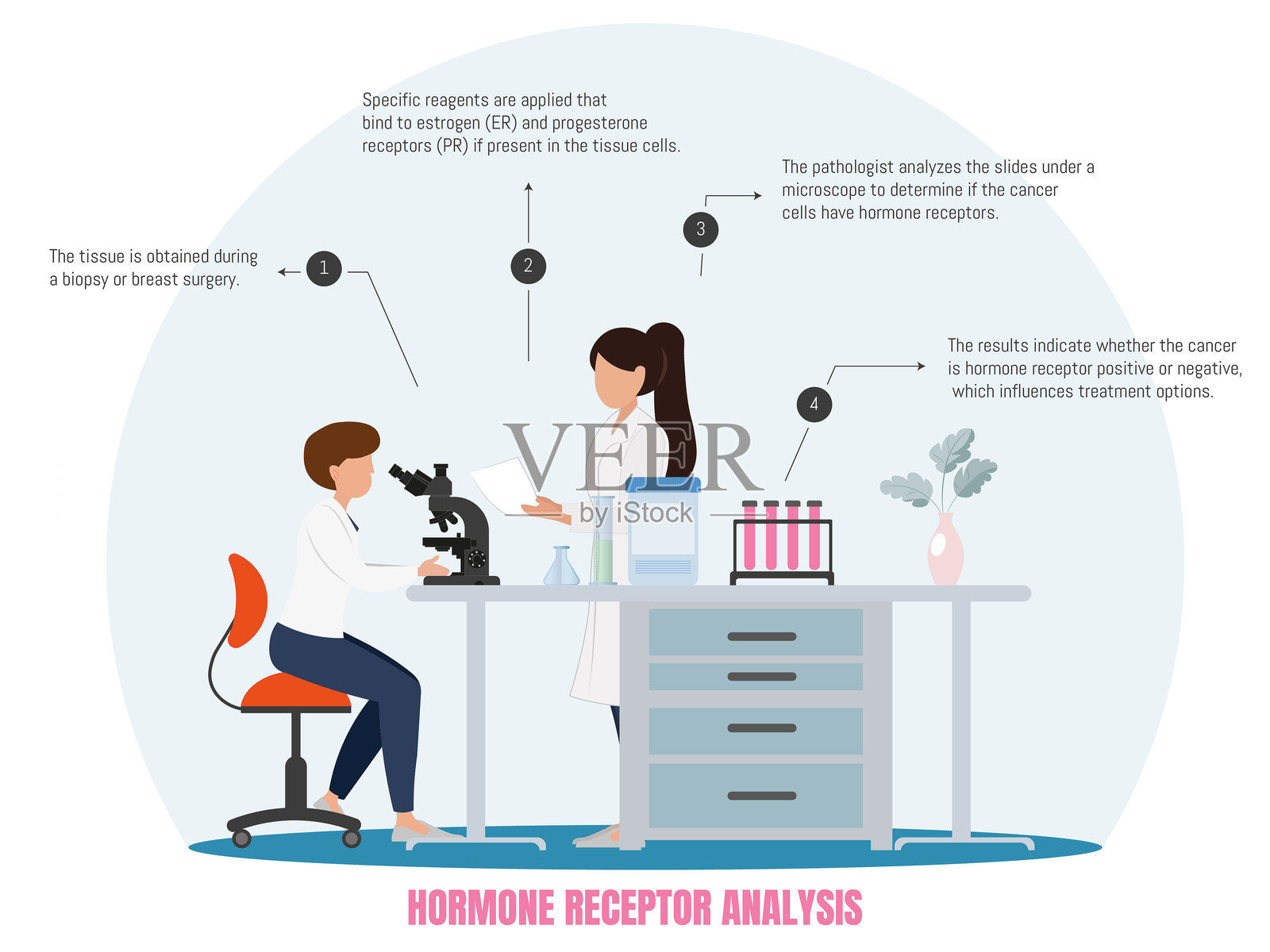 激素受体分析 医学插图展示了在乳腺癌组织中分析激素受体的过程。插画图片素材