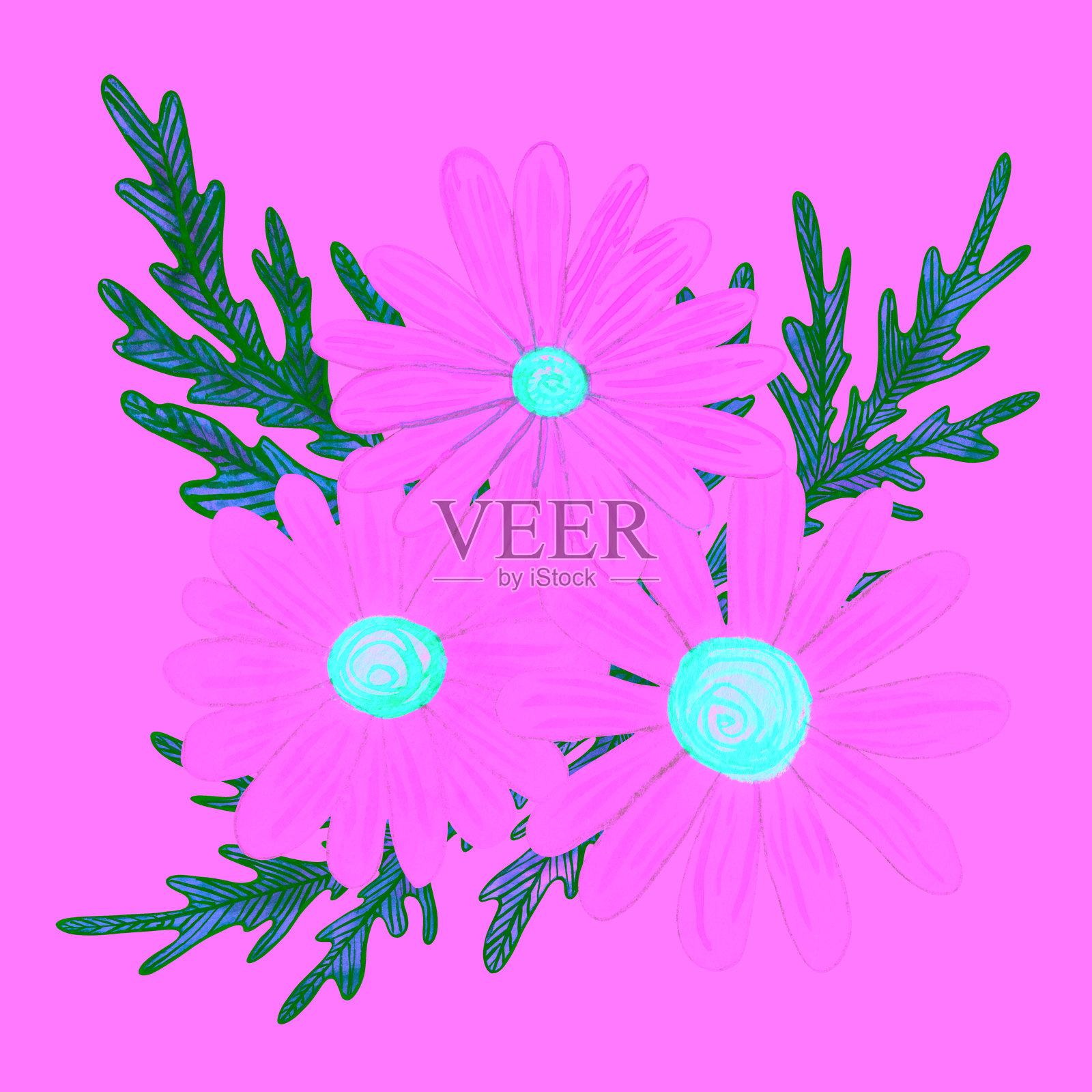 白色的洋甘菊盛开，中央为黄色，周围有细致的绿色叶子。水彩插图展示了白色背景上的雏菊花。这是一幅天真、自然灵感的艺术作品，适合用于印刷和植物项目。插画图片素材