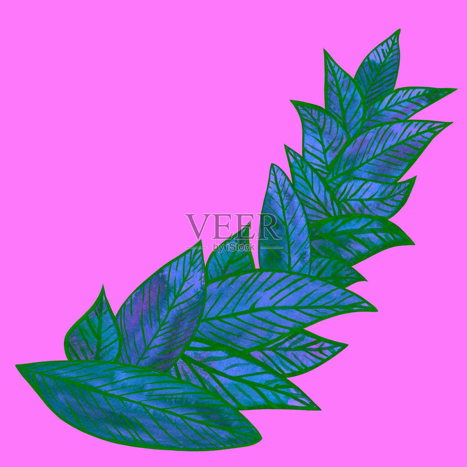 生动的绿色叶子水彩插图。茶叶、叶片和绿植的组合。春夏季节的植物画，背景为白色。插画图片素材