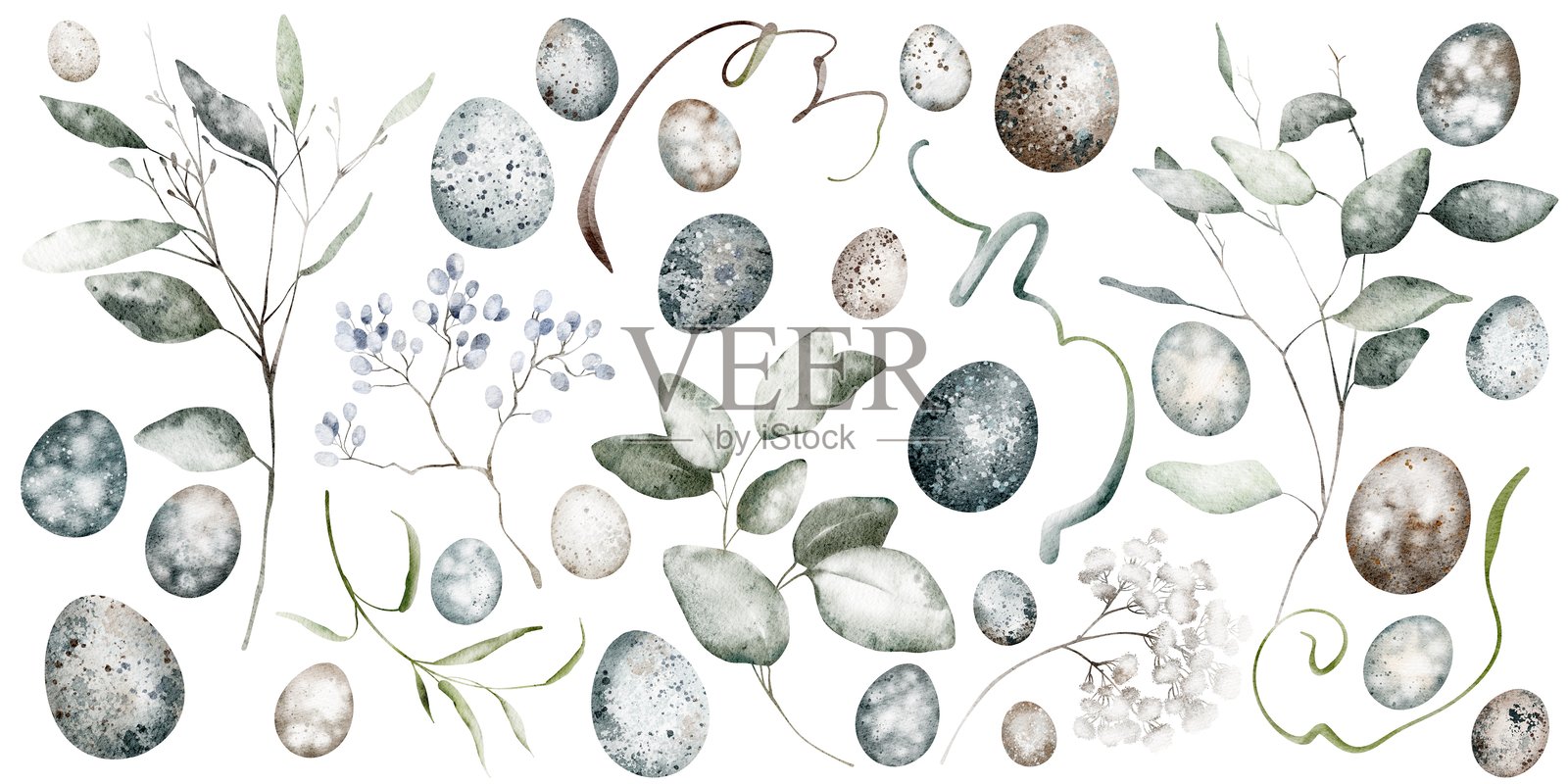 水彩复活节剪贴画，带有桉树叶和鹌鹑蛋的绘图，背景为纯色。插画图片素材