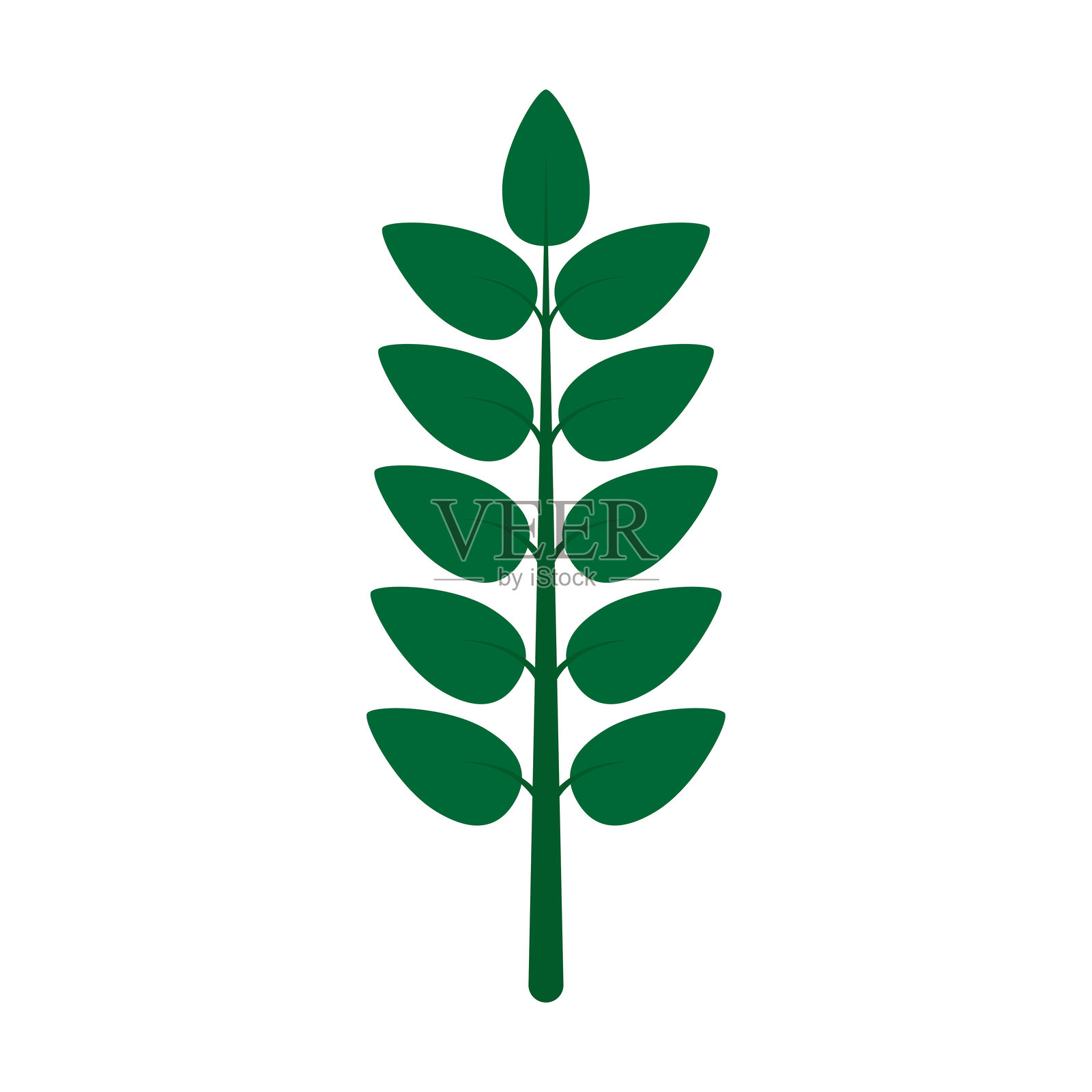 简单的绿色植物，白色背景上对称的叶子。插画图片素材