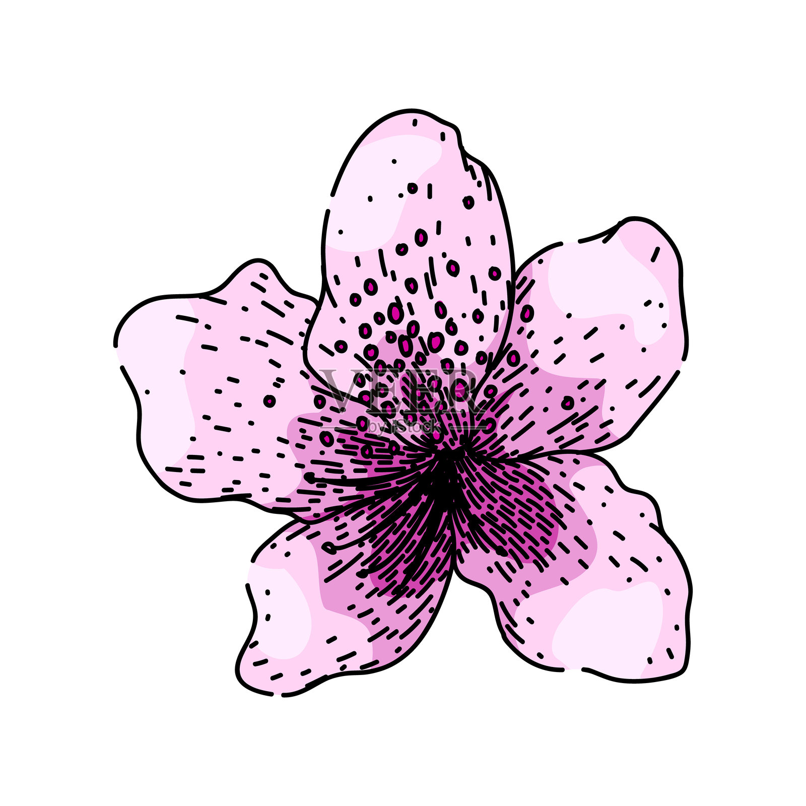 手绘的杜鹃花草图矢量图插画图片素材