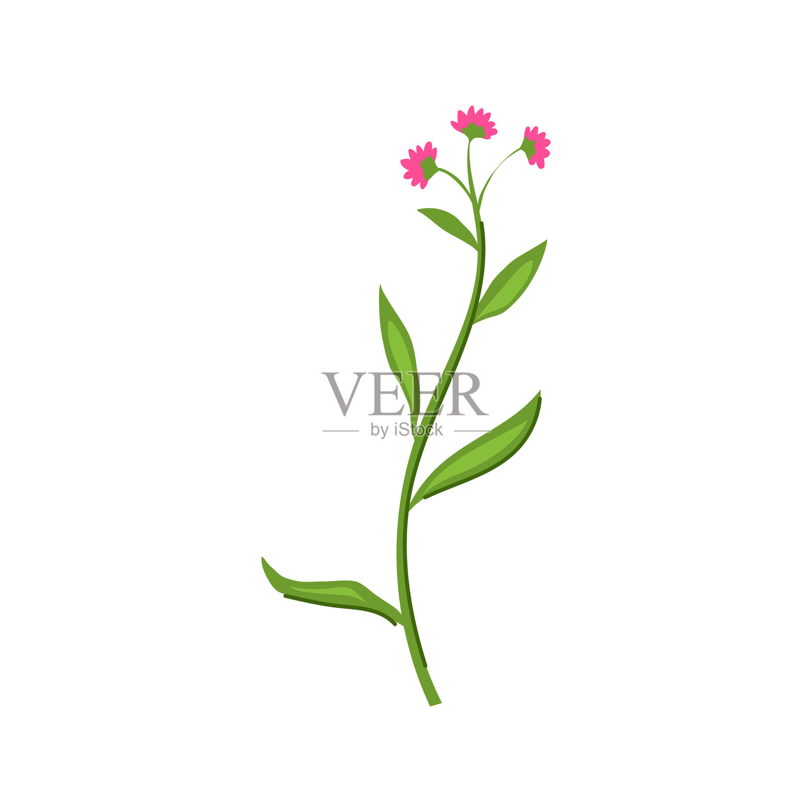 花瓣花枝卡通矢量插图插画图片素材