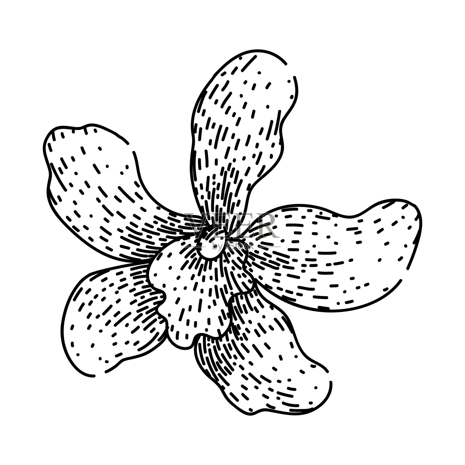 手绘的蝴蝶兰草图矢量图插画图片素材