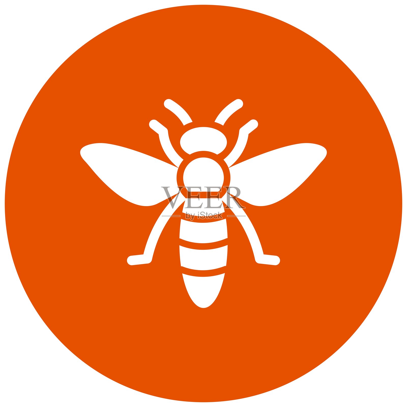 昆虫矢量图标设计插图插画图片素材