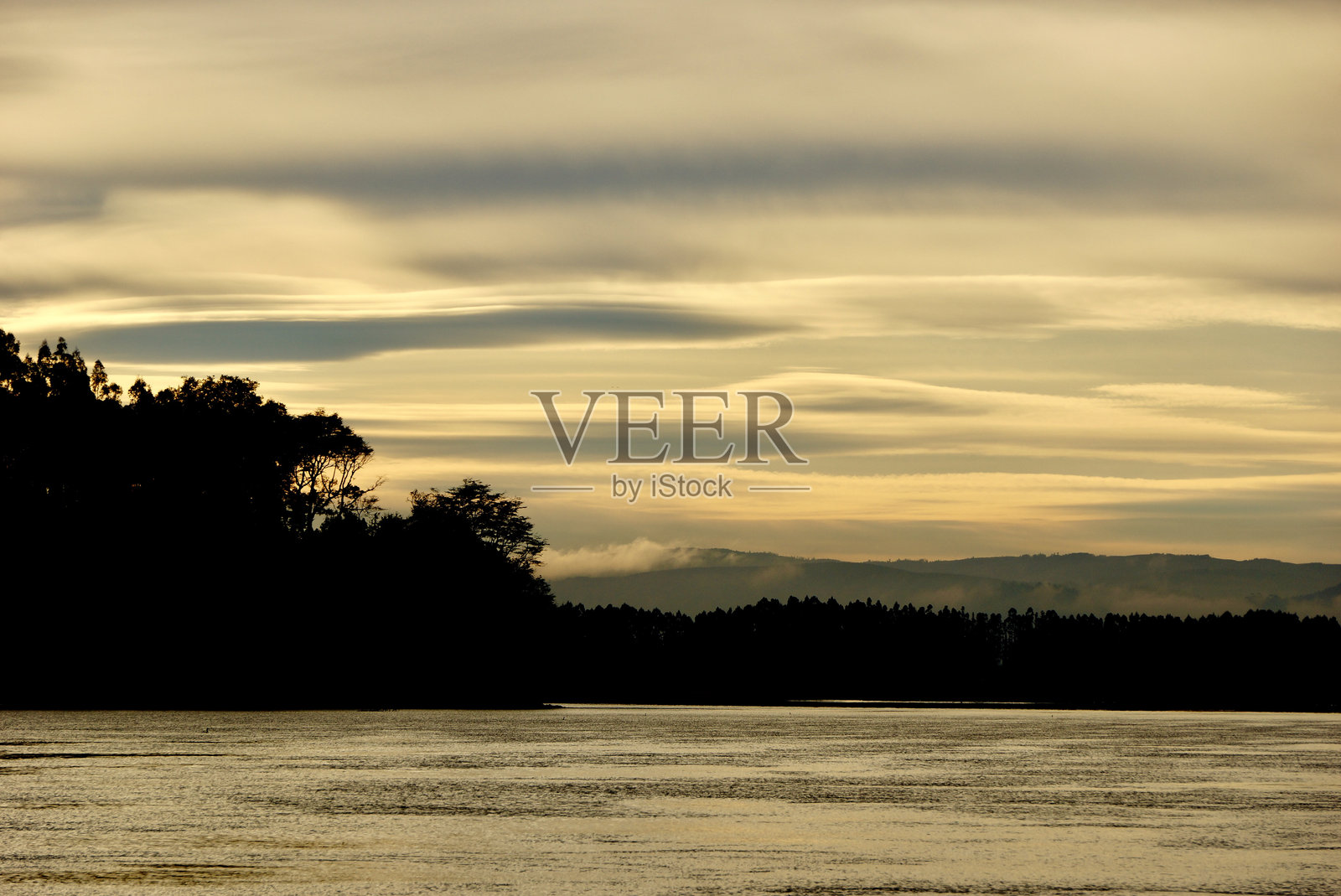 日落时分宁静湖边的树木剪影照片摄影图片