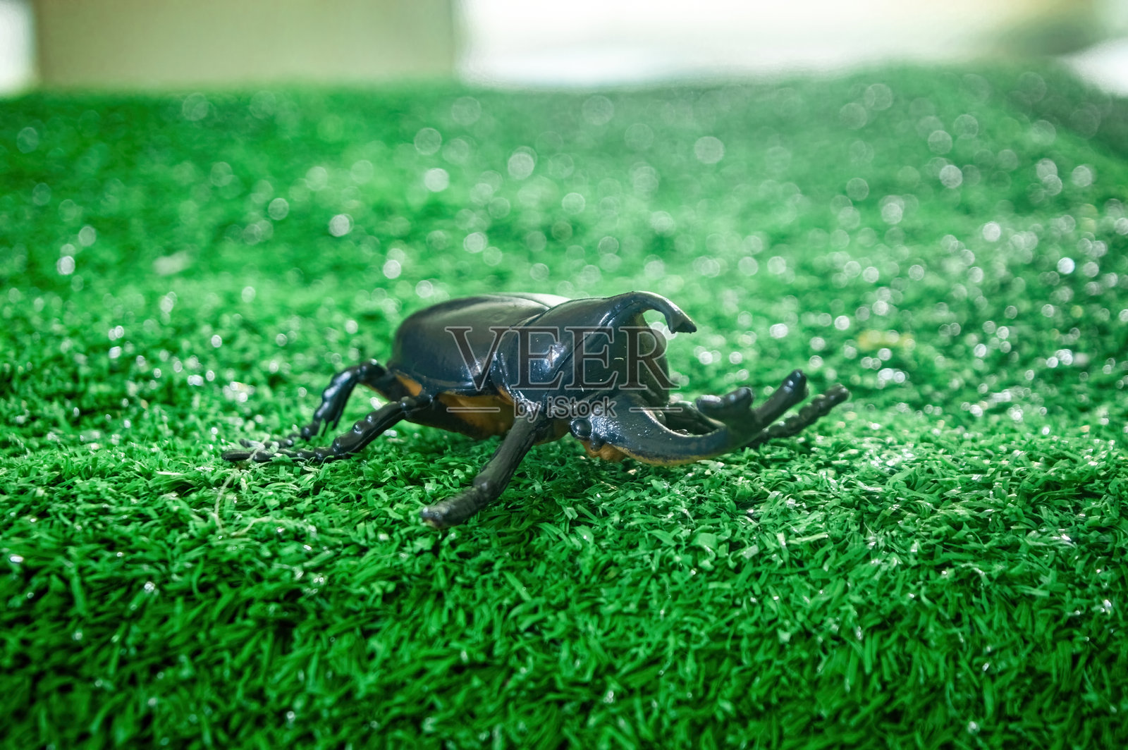 一个逼真的玩具甲虫放在绿色的人造草坪上，非常适合教育用途、昆虫主题装饰或儿童玩耍。精致的设计使它成为任何收藏的绝佳补充。照片摄影图片