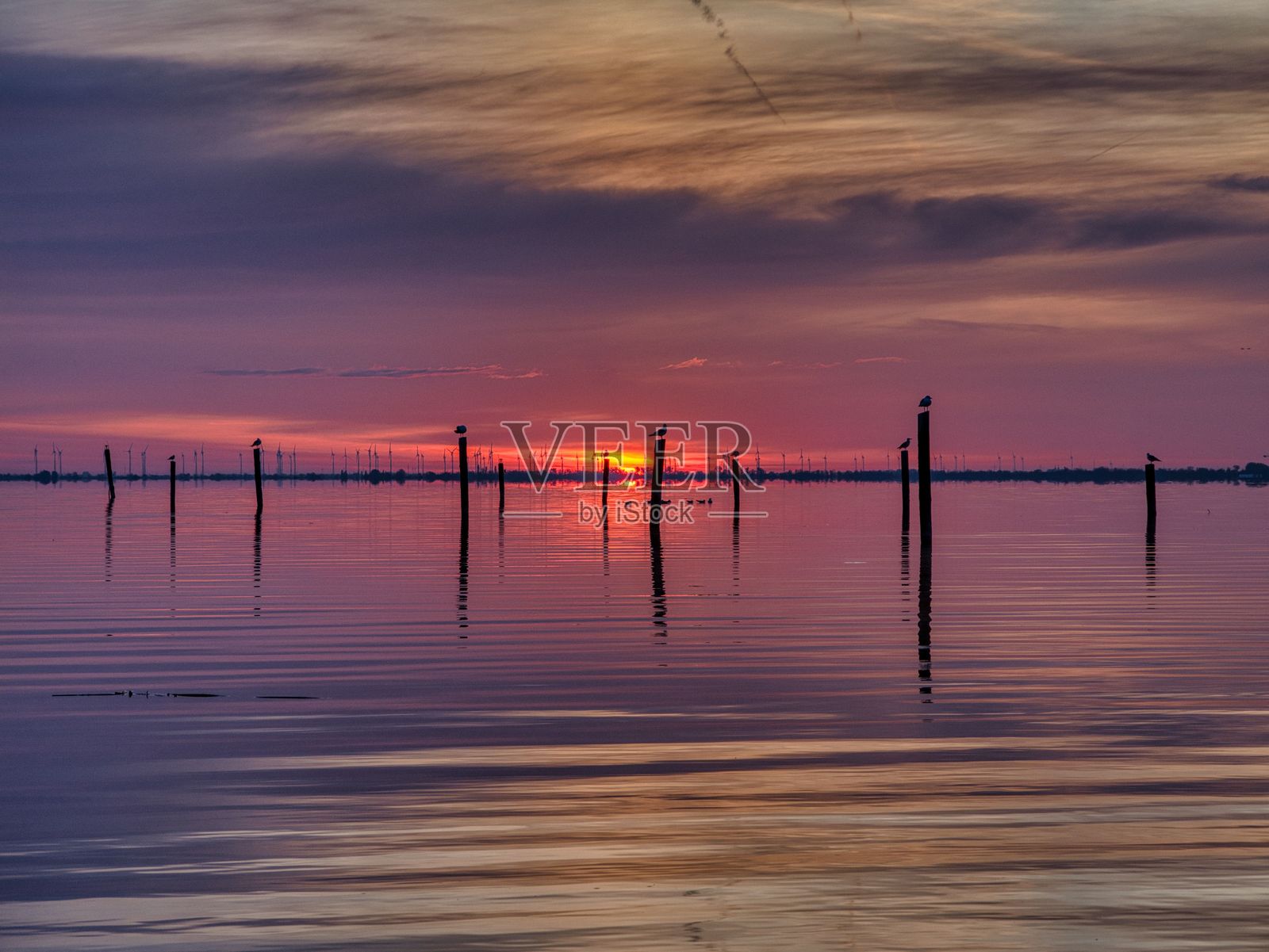 宁静的日落映照在平静的湖面上，鸟儿的剪影映入眼帘。照片摄影图片