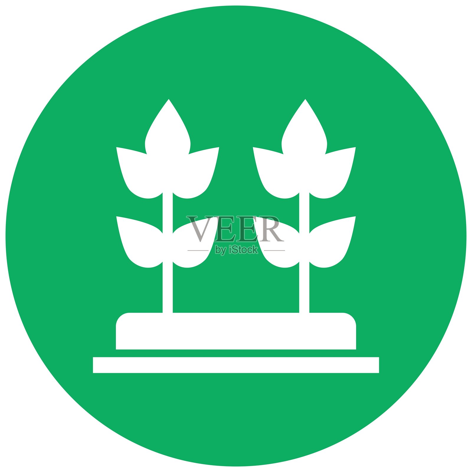 植物矢量图标设计插图插画图片素材