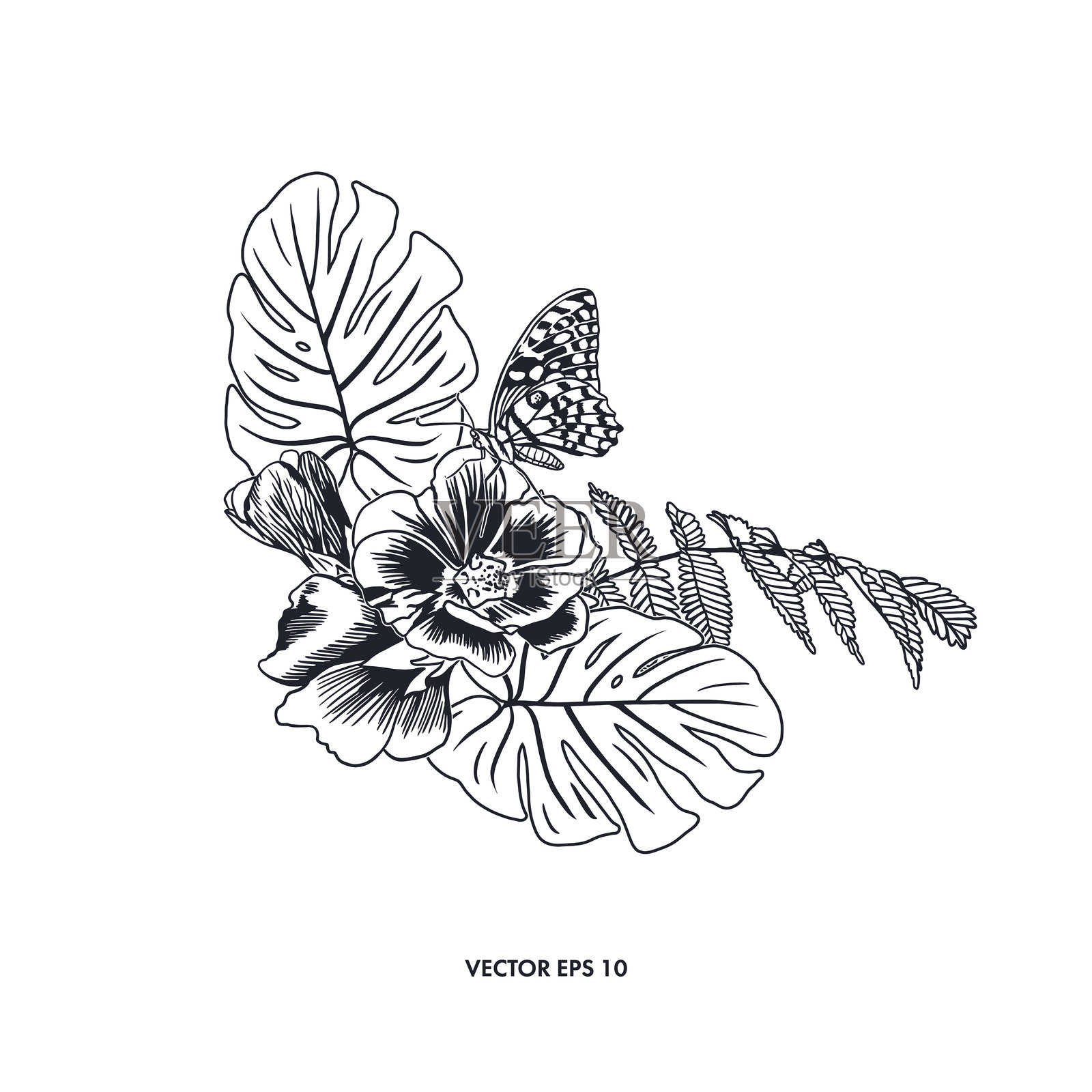 带有龟背竹叶、蕨类植物和静止蝴蝶的花束。矢量插图。适用于卡片、邀请函、标签、海报和纹身。插画图片素材