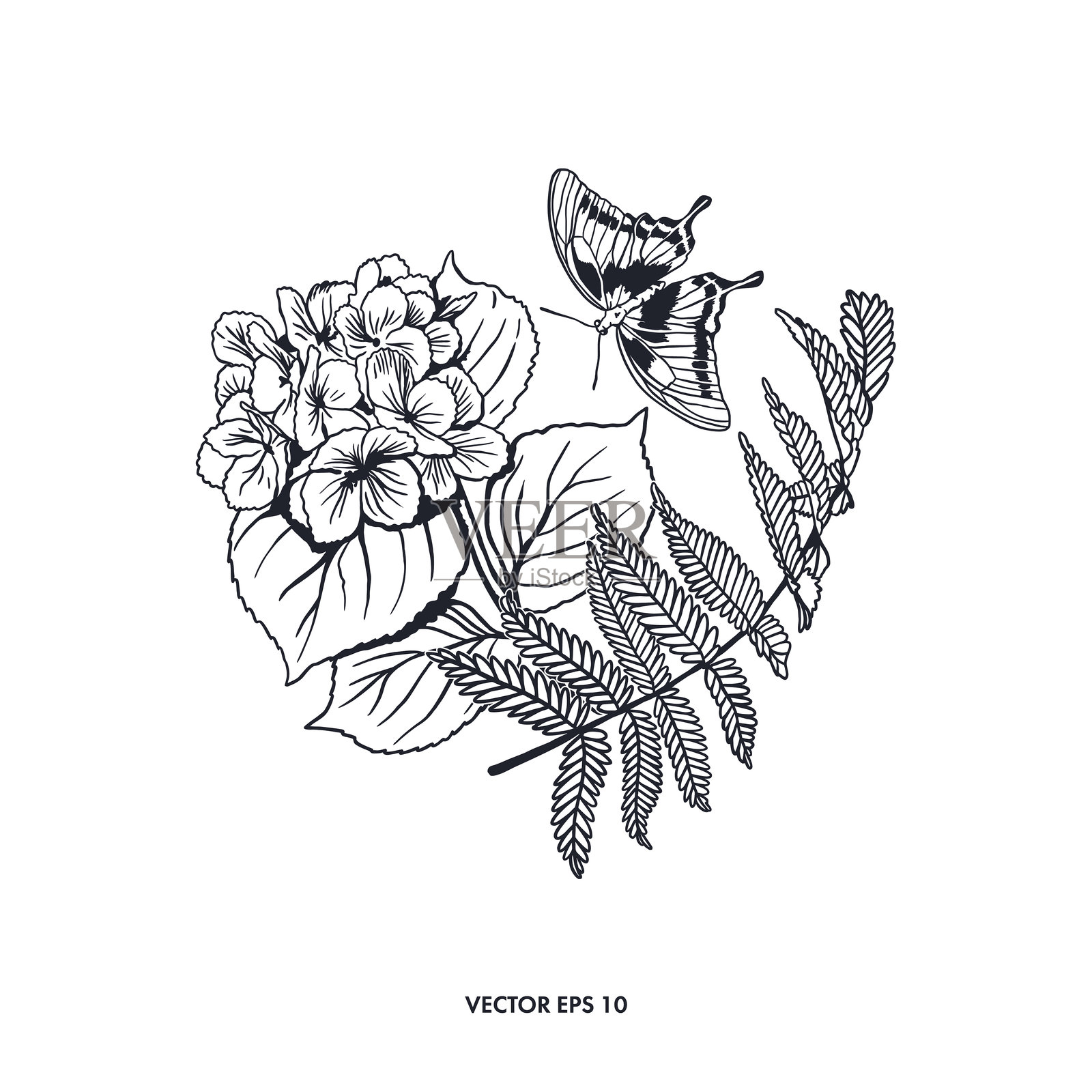 带有蝴蝶和蕨叶的绣球花。手绘矢量插图，风格独特。适用于卡片、邀请函、标签、纹身、海报和横幅。插画图片素材