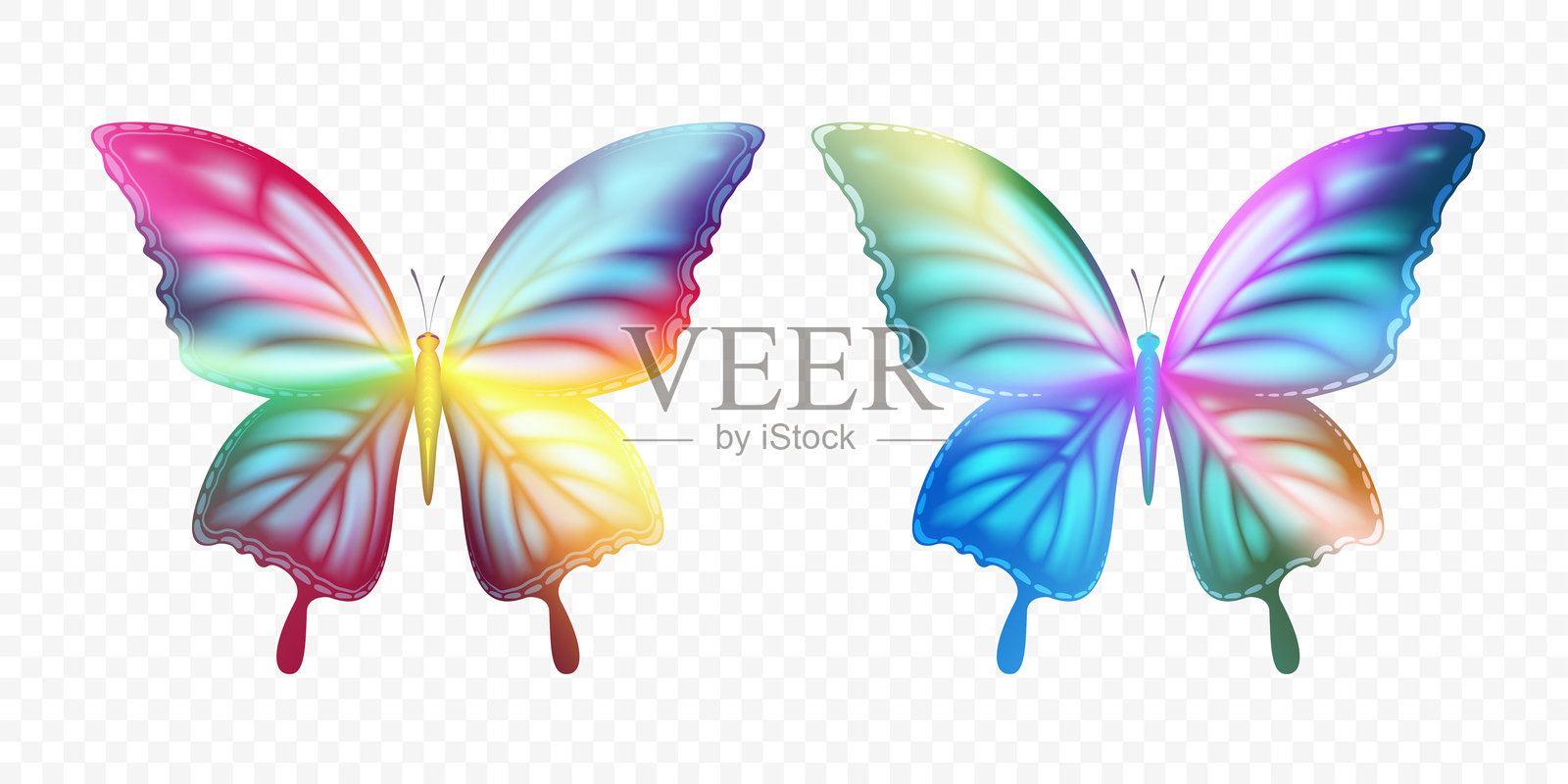 色彩斑斓的蝴蝶孤立在透明背景上插画图片素材