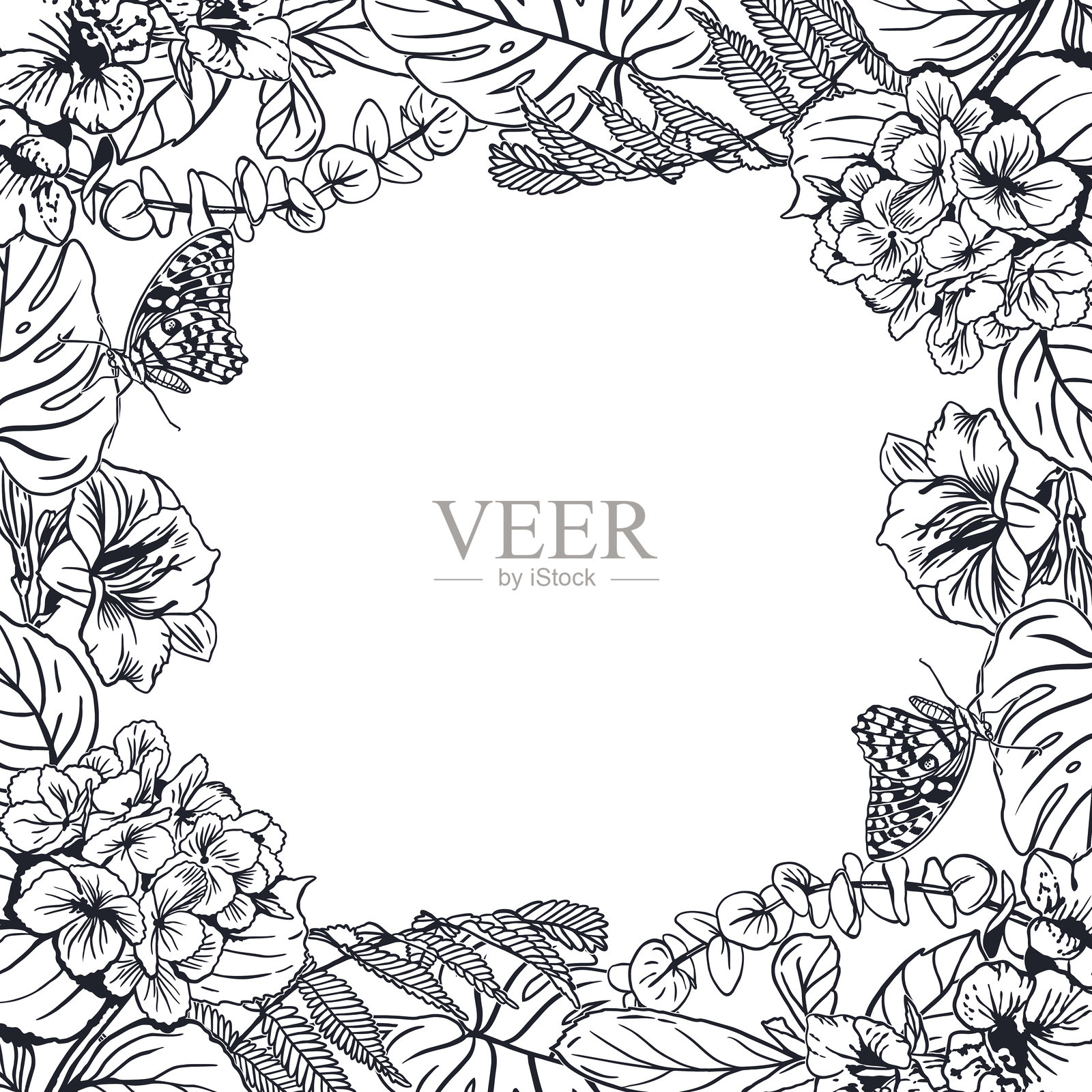 花卉方形边框。热带植物的棕榈树单叶、蕨类植物、绣球花、蝴蝶。矢量插图。图形。卡片、邀请函、标签。插画图片素材