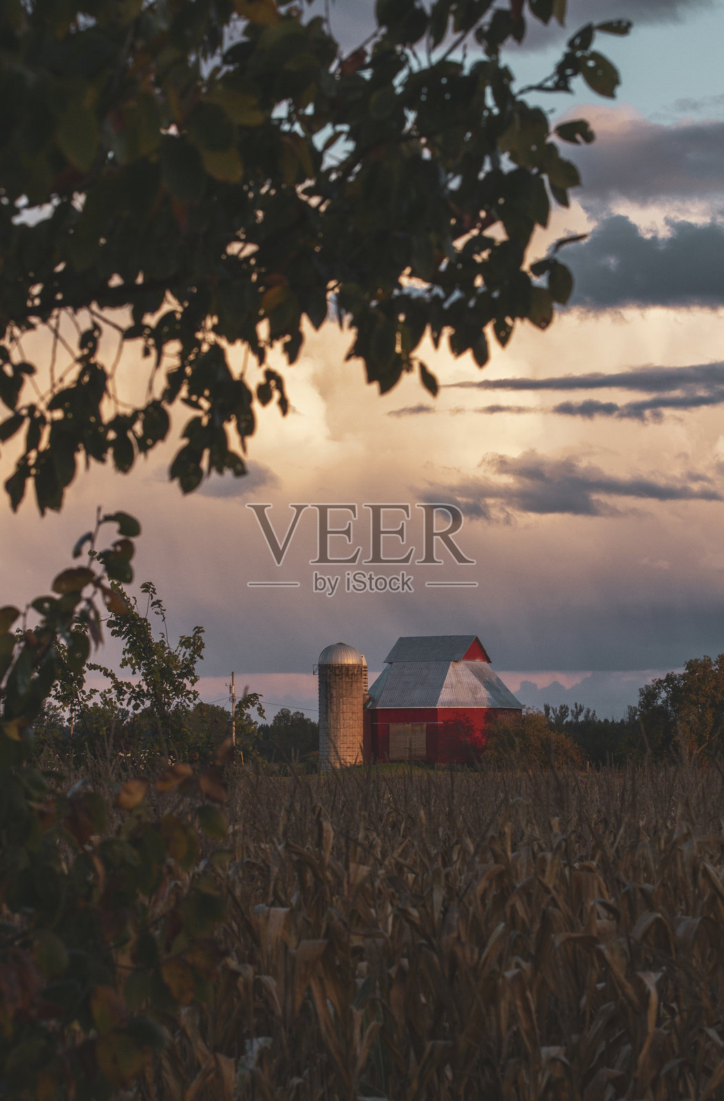 乡村红色谷仓和筒仓下的日落。照片摄影图片