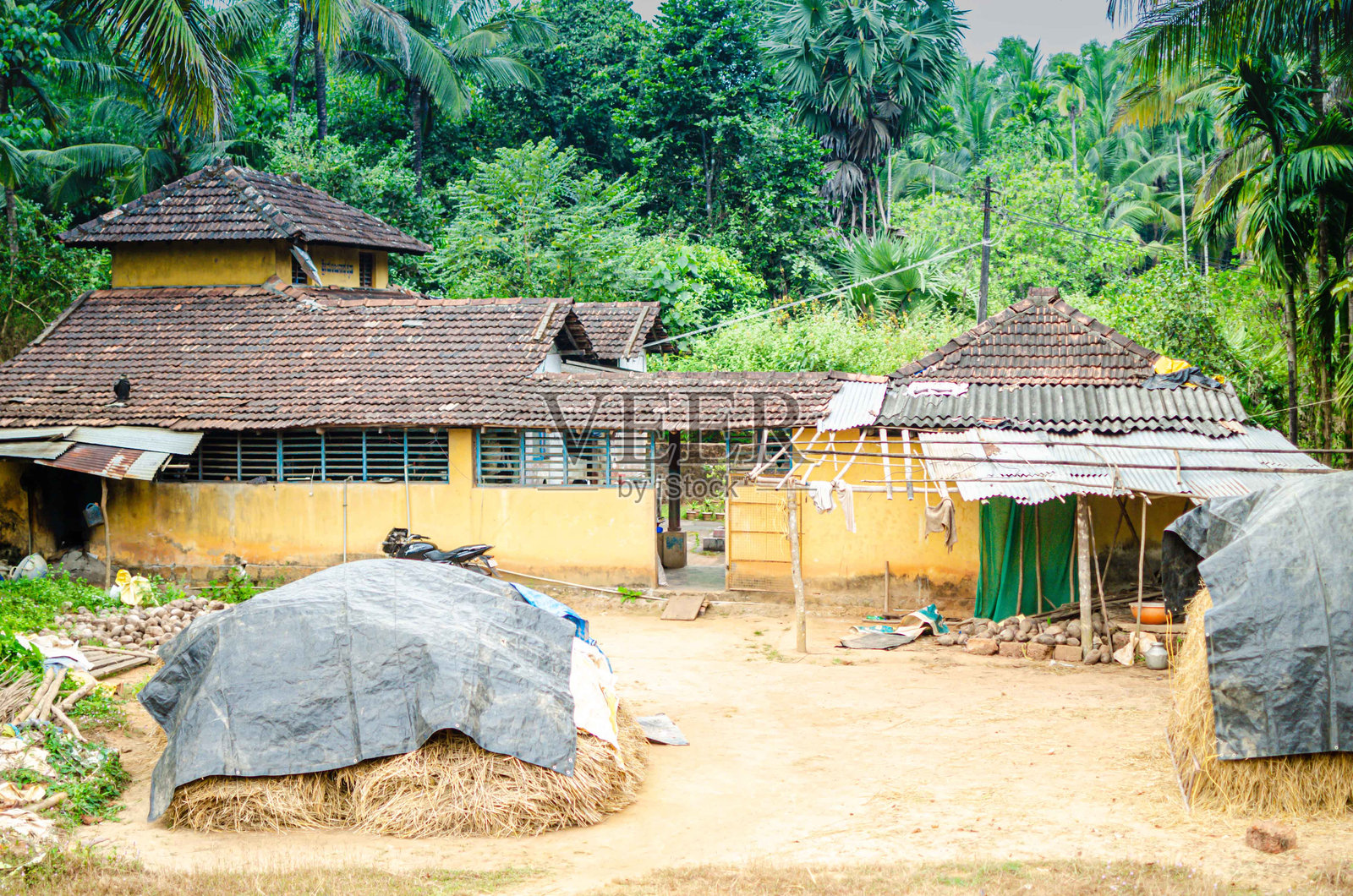印度的乡村风景照片摄影图片