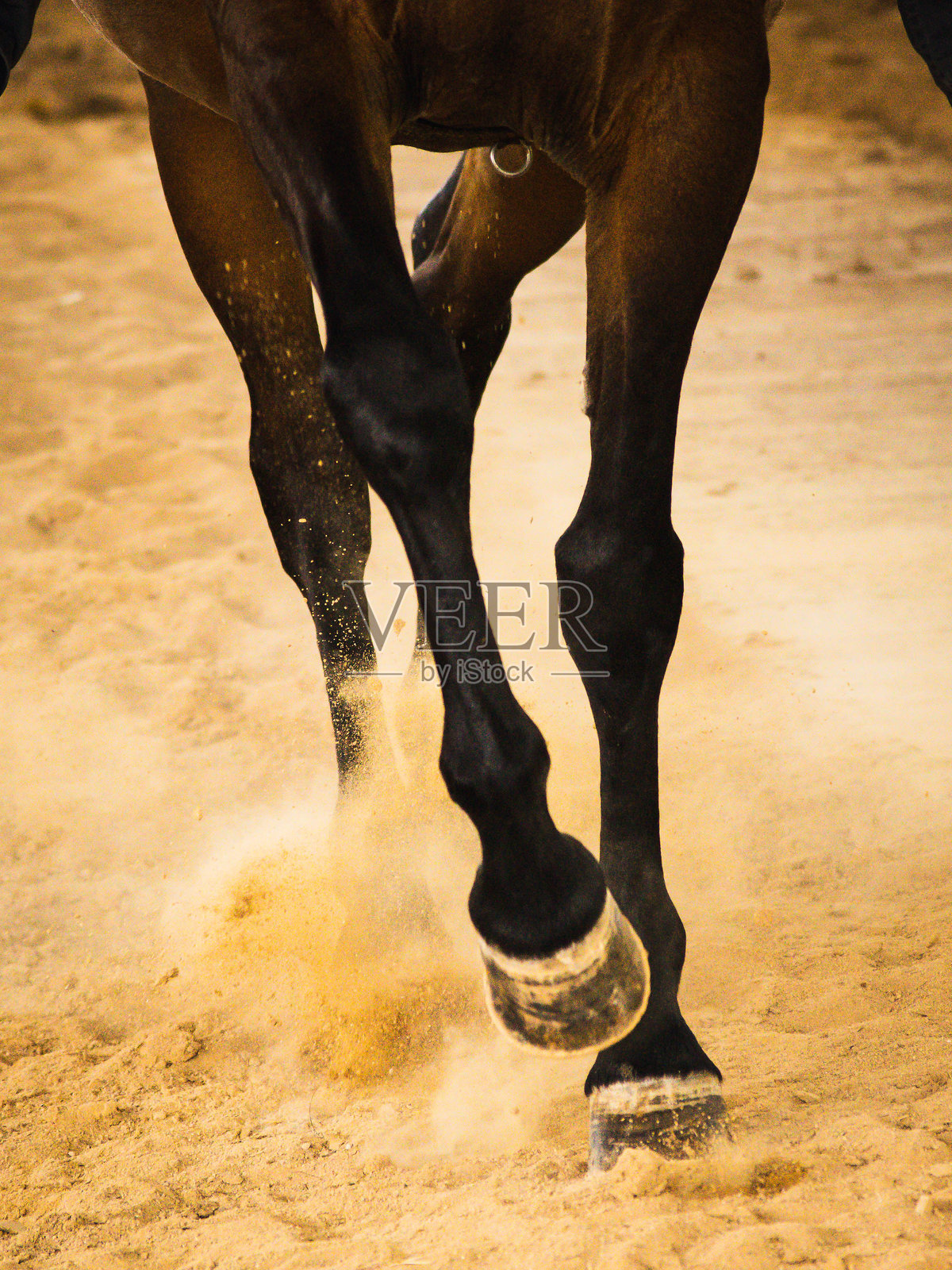 在乡间小路上驮着货物的马照片摄影图片