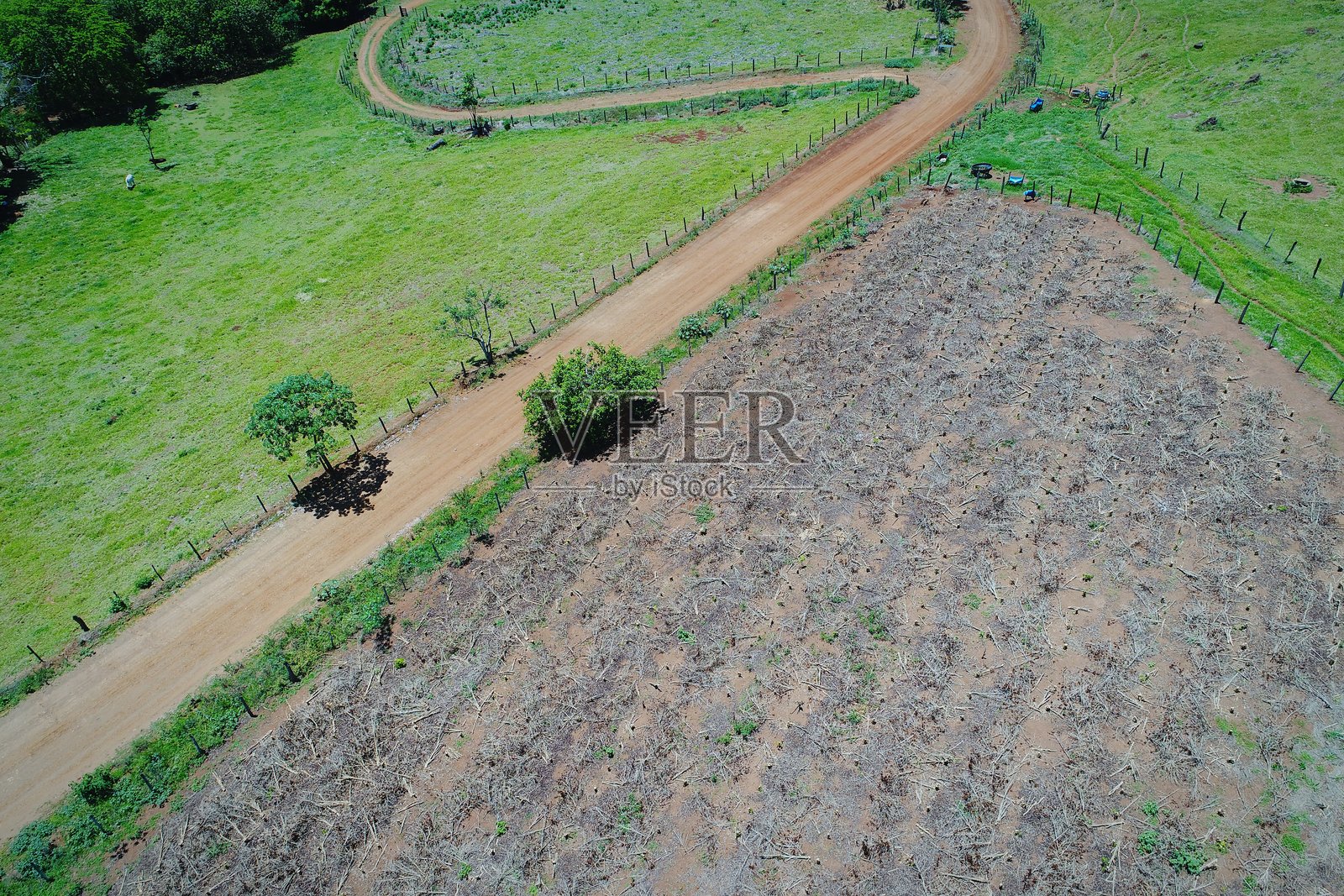 农业田地的高角度视图照片摄影图片