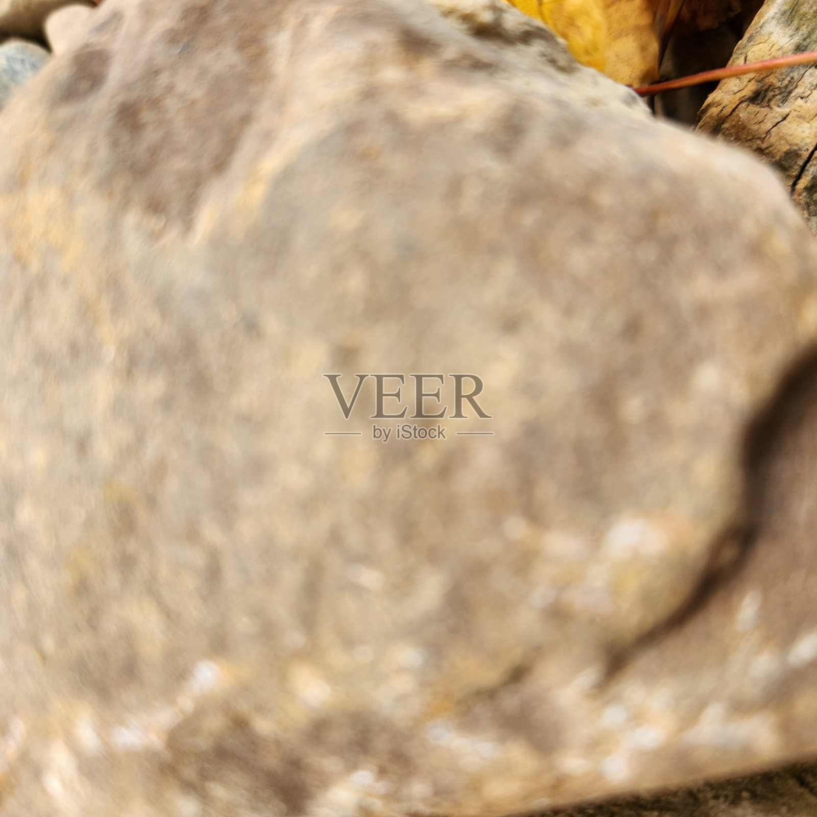 我花园里的石头照片摄影图片