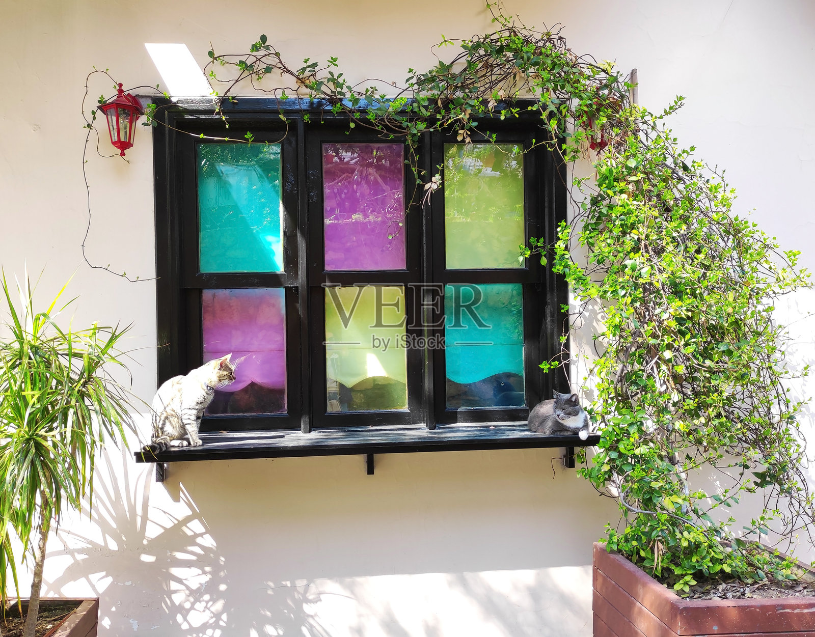 白色墙面建筑外立面上的黑色框架窗户，配有多彩玻璃。照片摄影图片