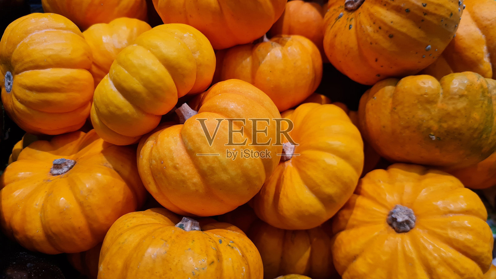 南瓜照片摄影图片