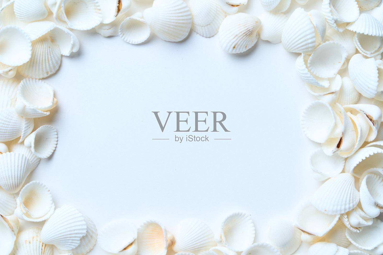 桌子上有许多白色贝壳照片摄影图片