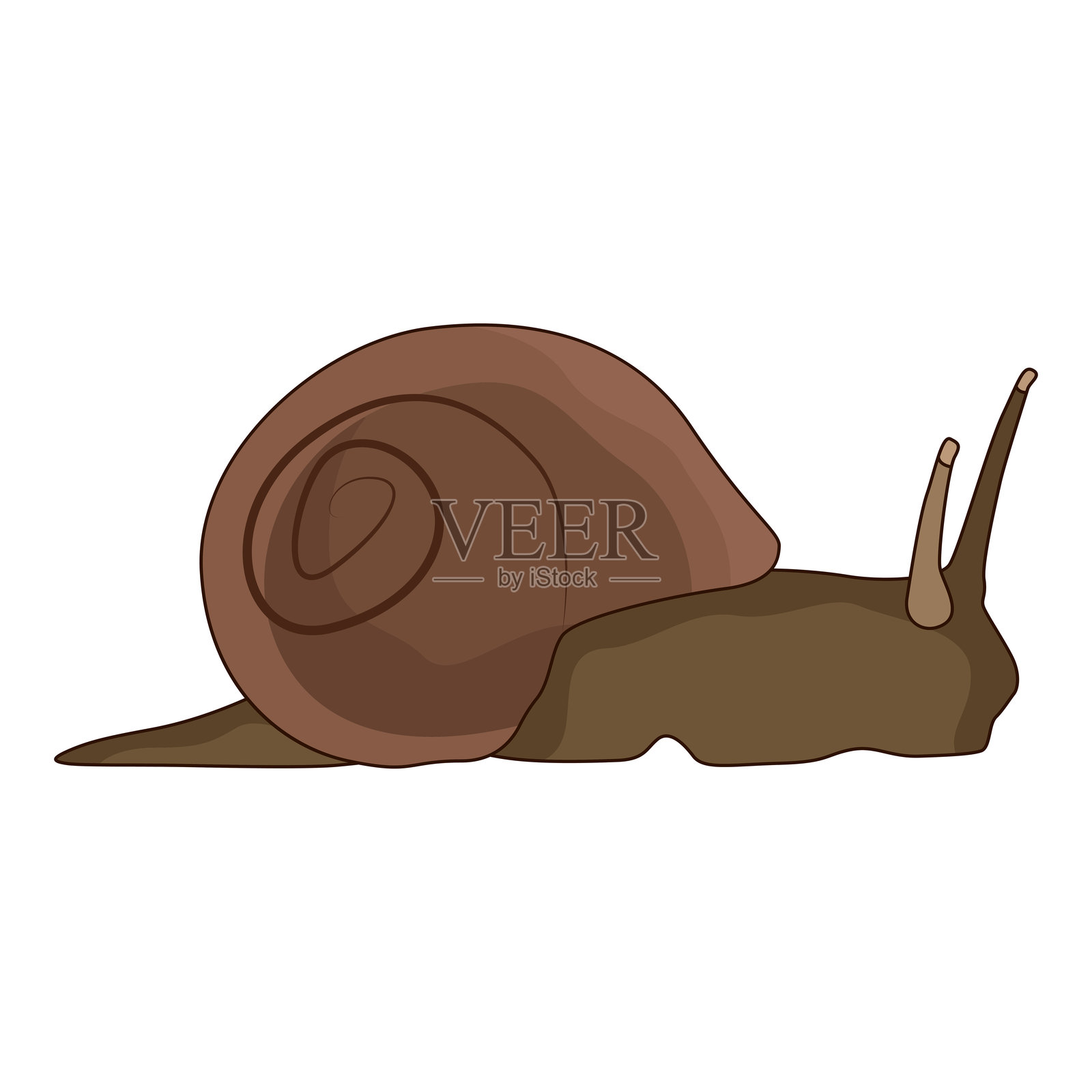 蜗牛插画图片素材