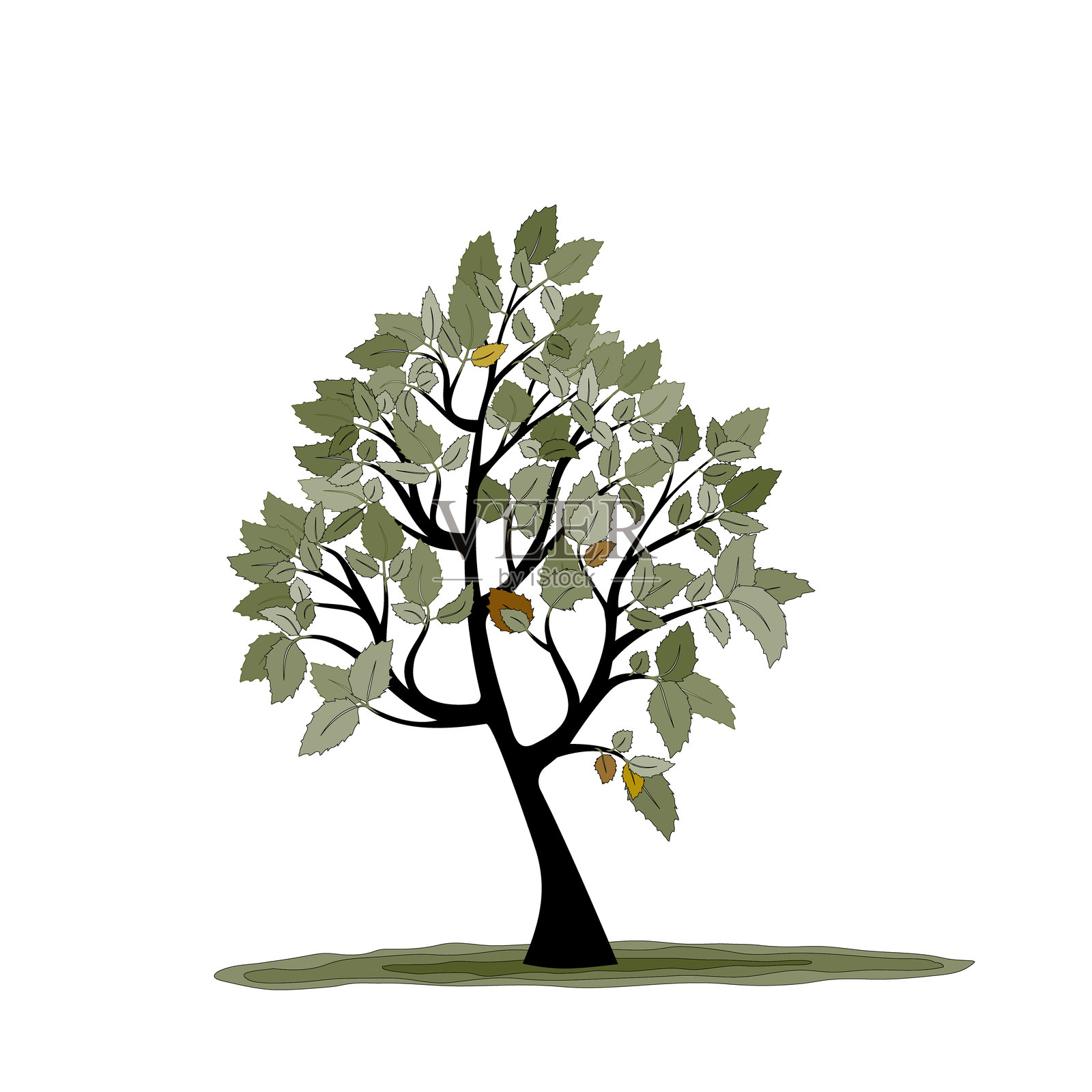 树叶轮廓的剪影插画图片素材