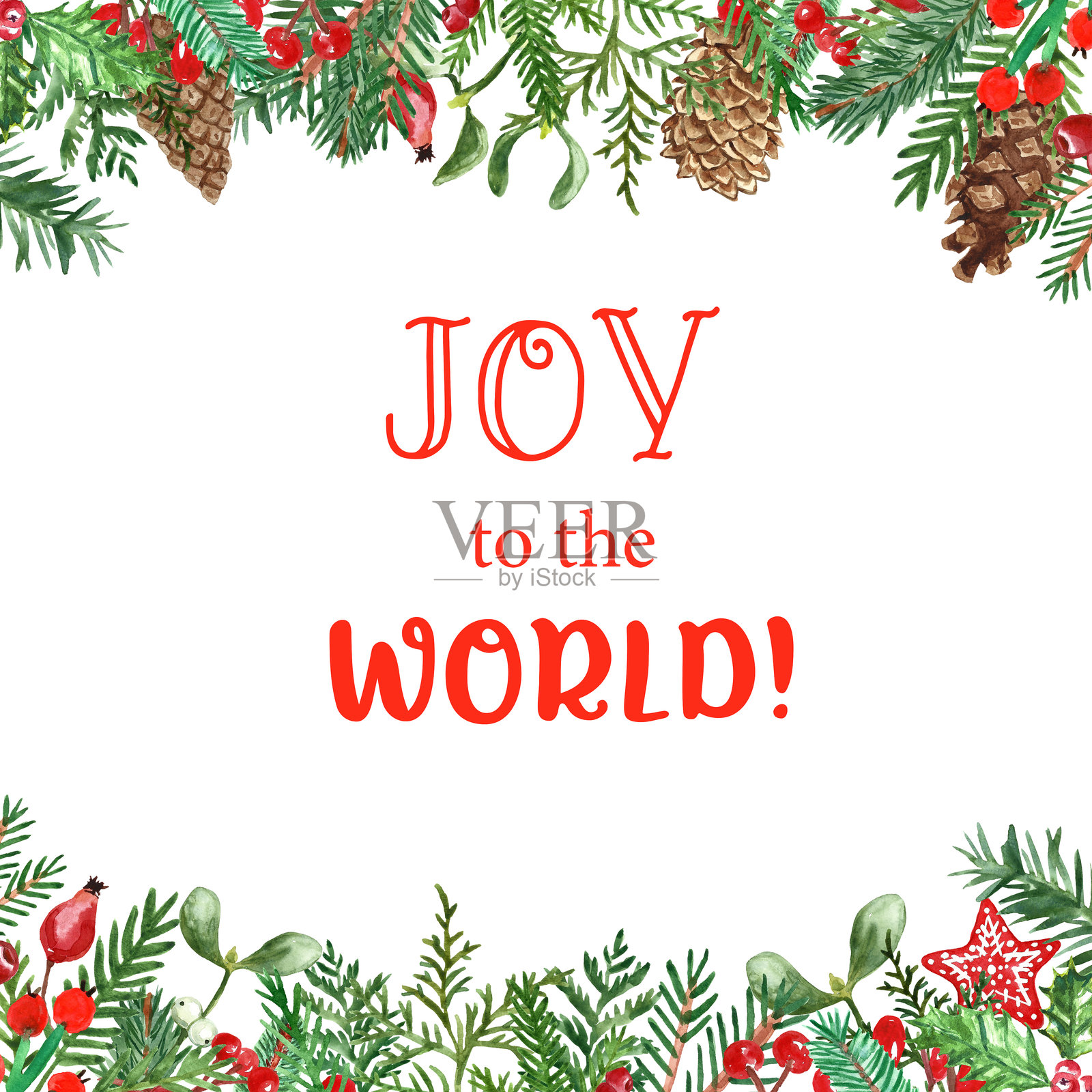 圣诞节方形横幅，背景为白色，装饰有水彩风格的节日松树枝和红色冬青浆果。节日冬季边框，采用传统的红色和绿色。插画图片素材