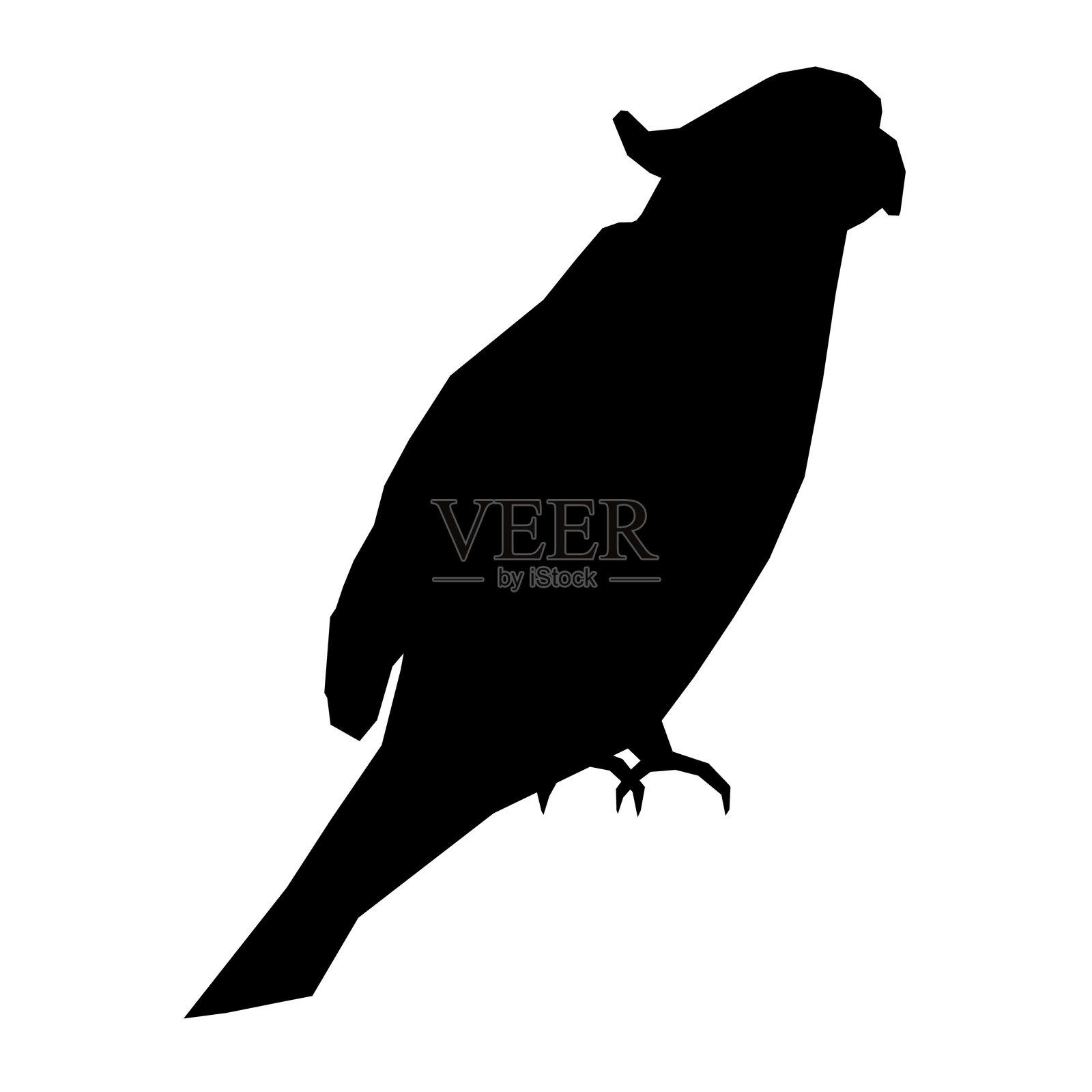 白色背景上的鹦鹉剪影。矢量插图插画图片素材