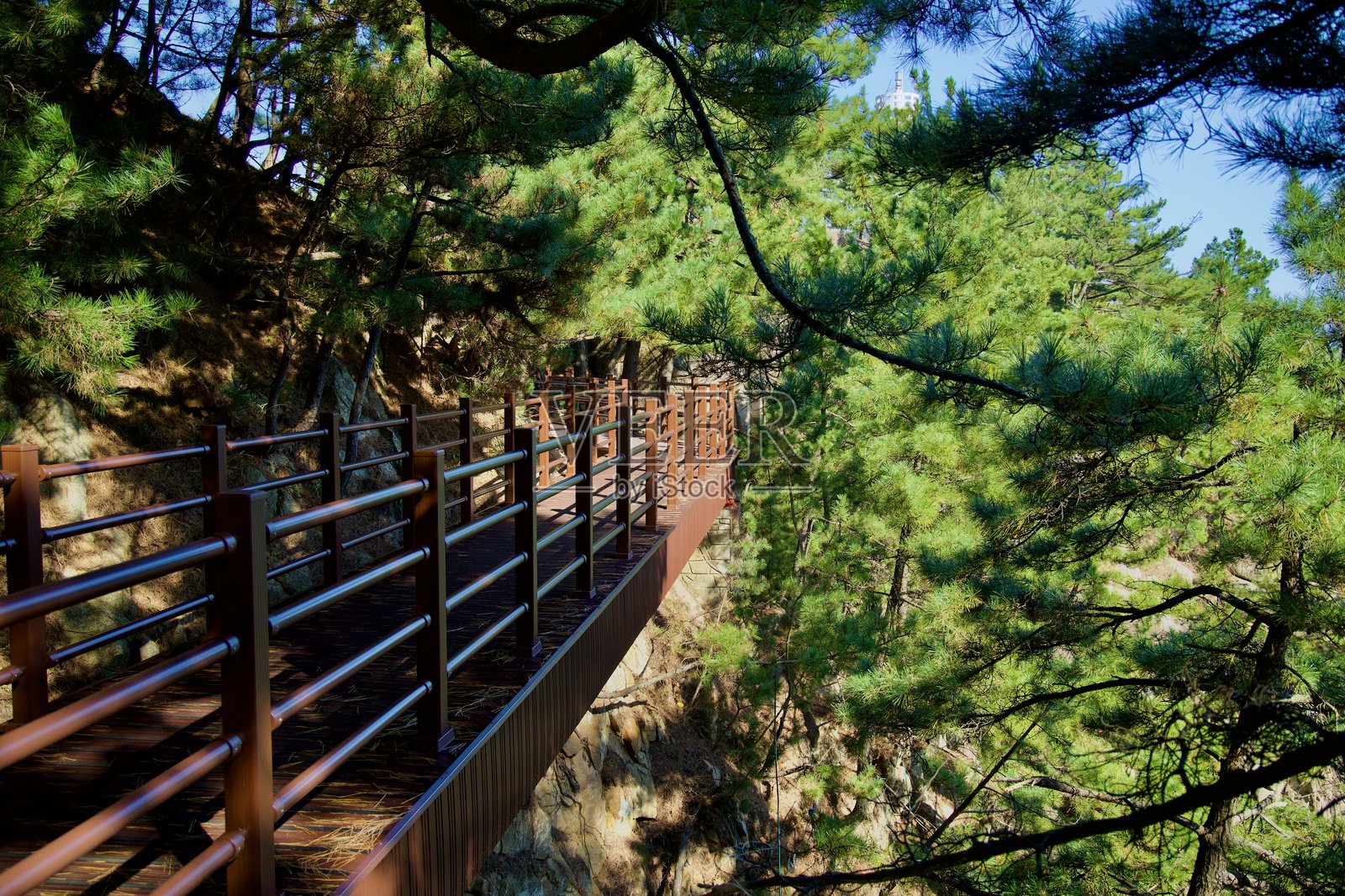 通往吉萨蒙灯塔的人行道照片摄影图片