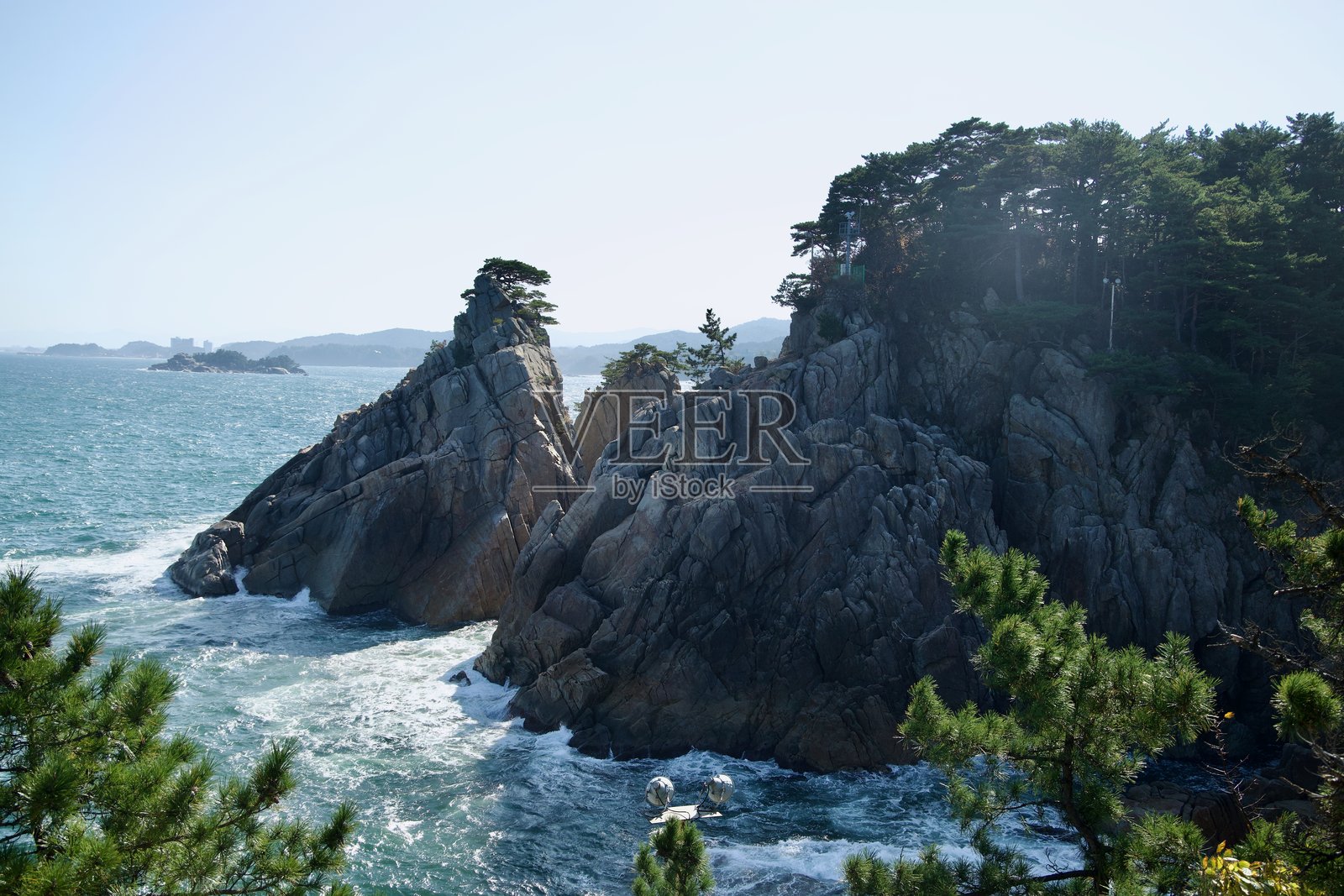 哈祖岱海岸悬崖与松树照片摄影图片