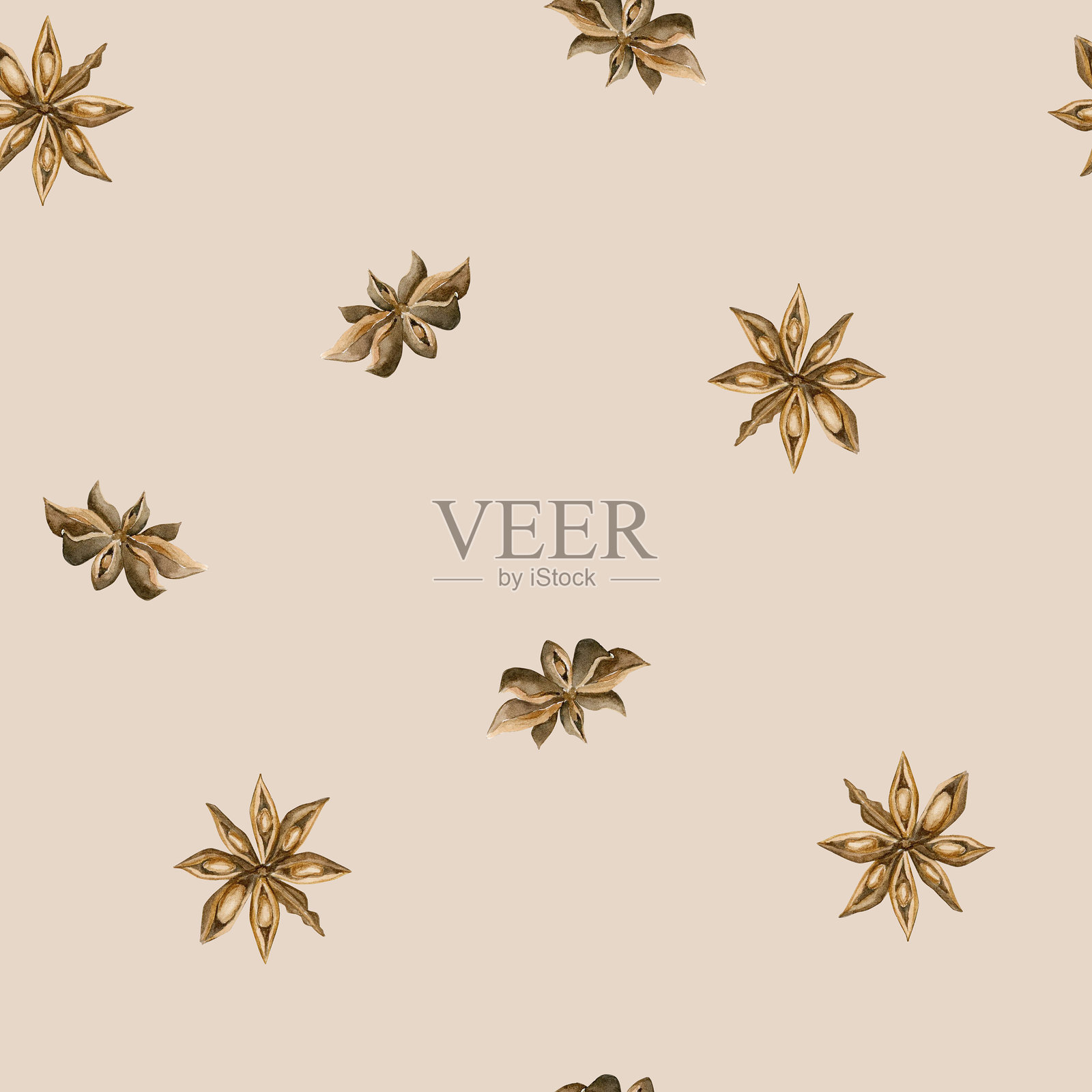 八角茴香。水彩极简风格，简单的食物无缝图案，适合秋冬设计的米色背景插画图片素材
