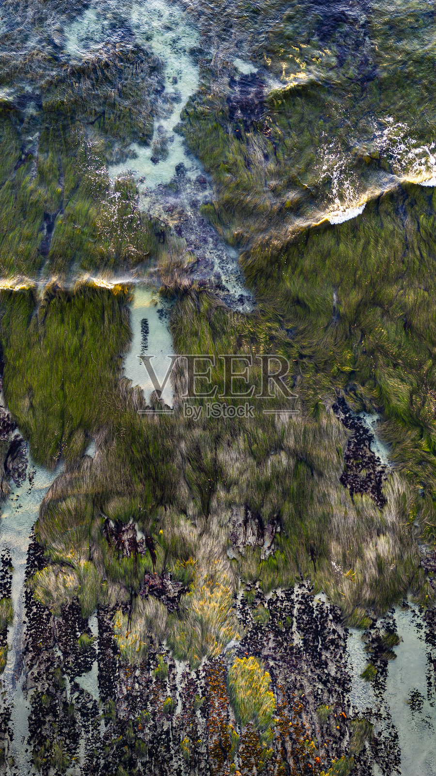 海滩潮池照片摄影图片